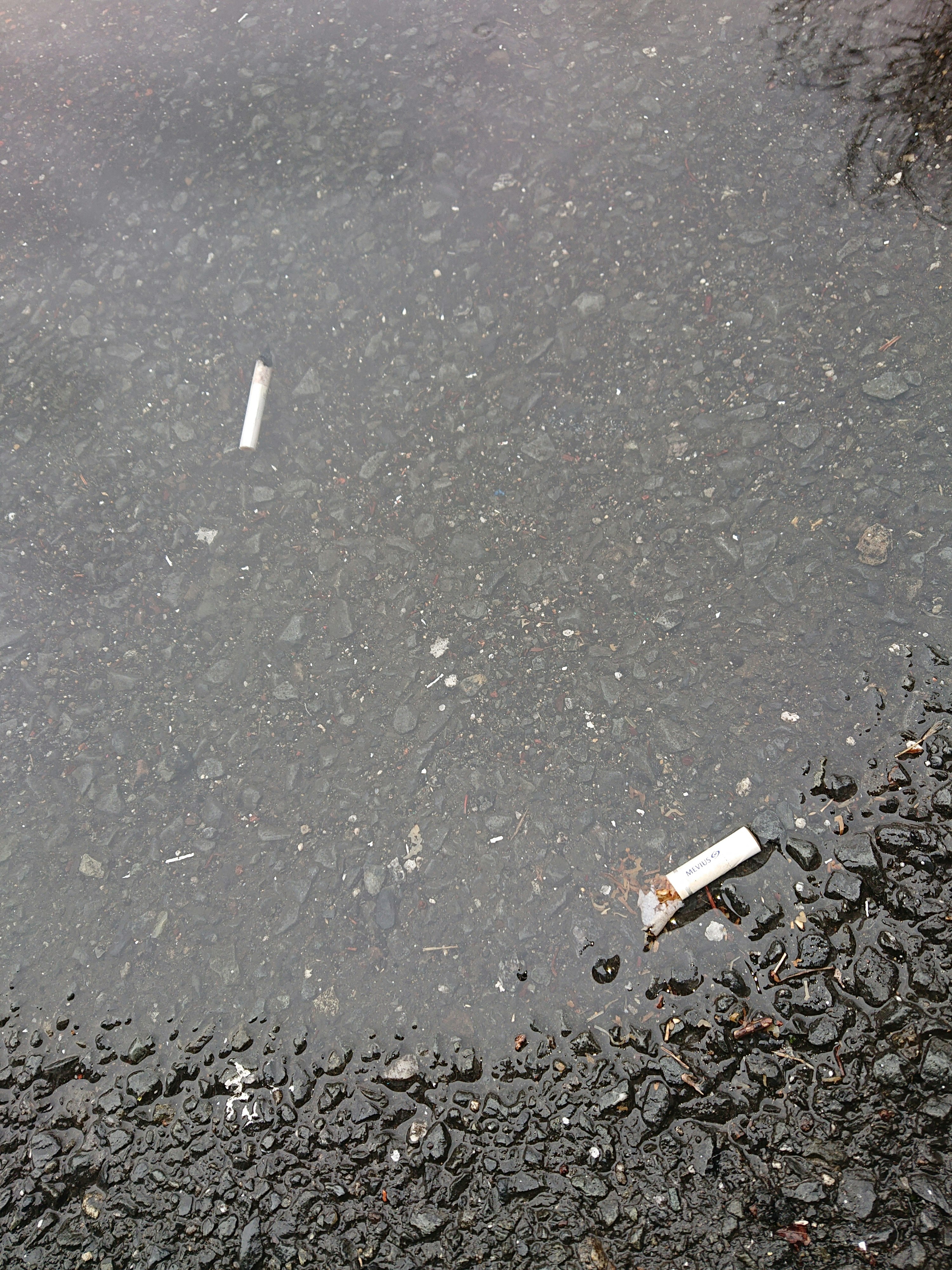 雨上がりの路面に落ちたたばこの吸い殻