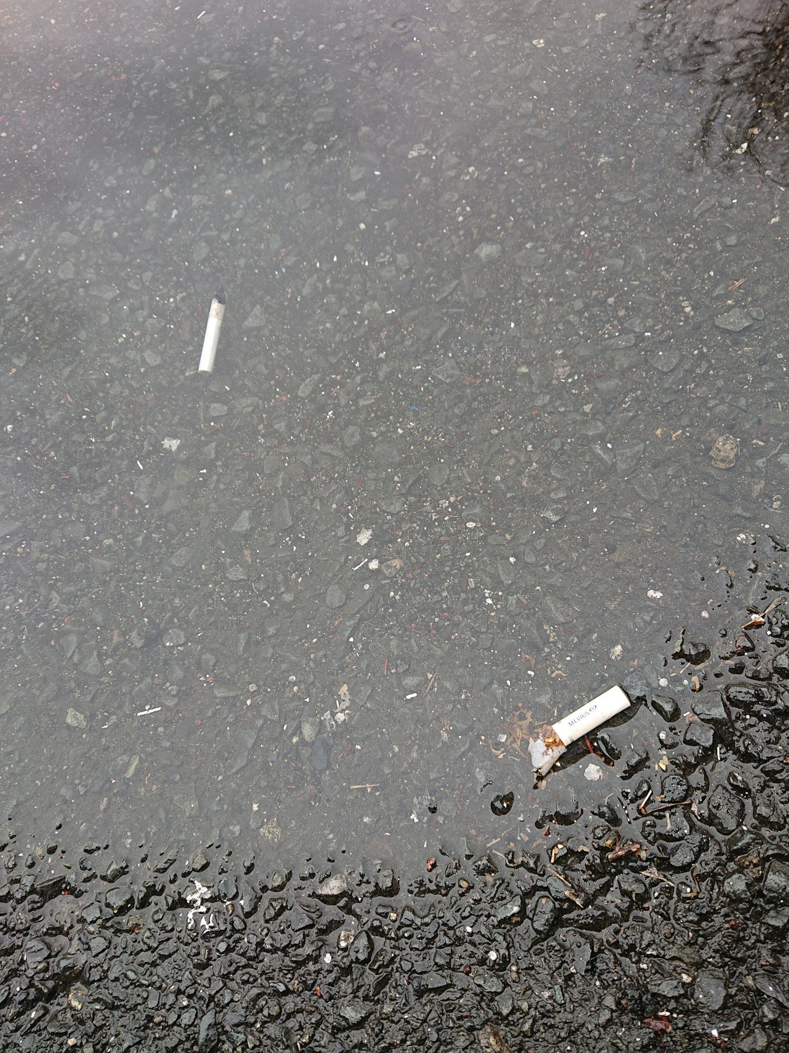 Cigarette butts in a puddle on dirty asphalt