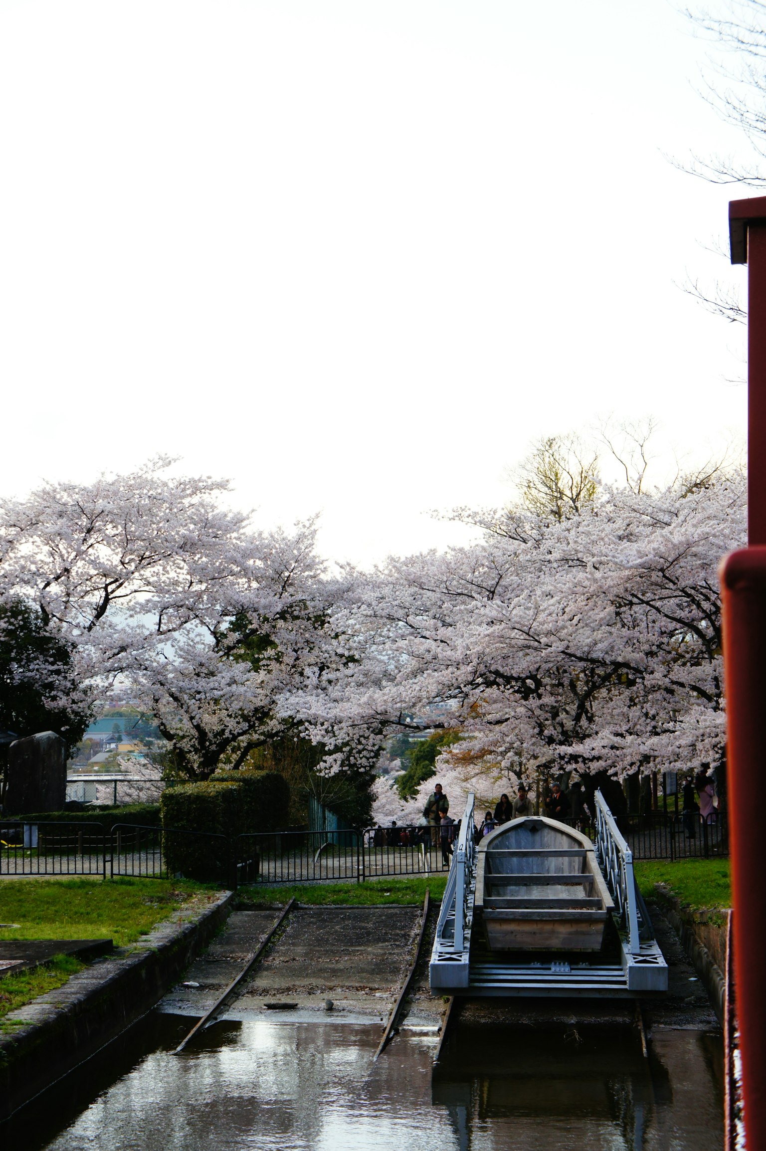 Scenic view of cherry blossom trees in a park featuring a bridge and calm water
