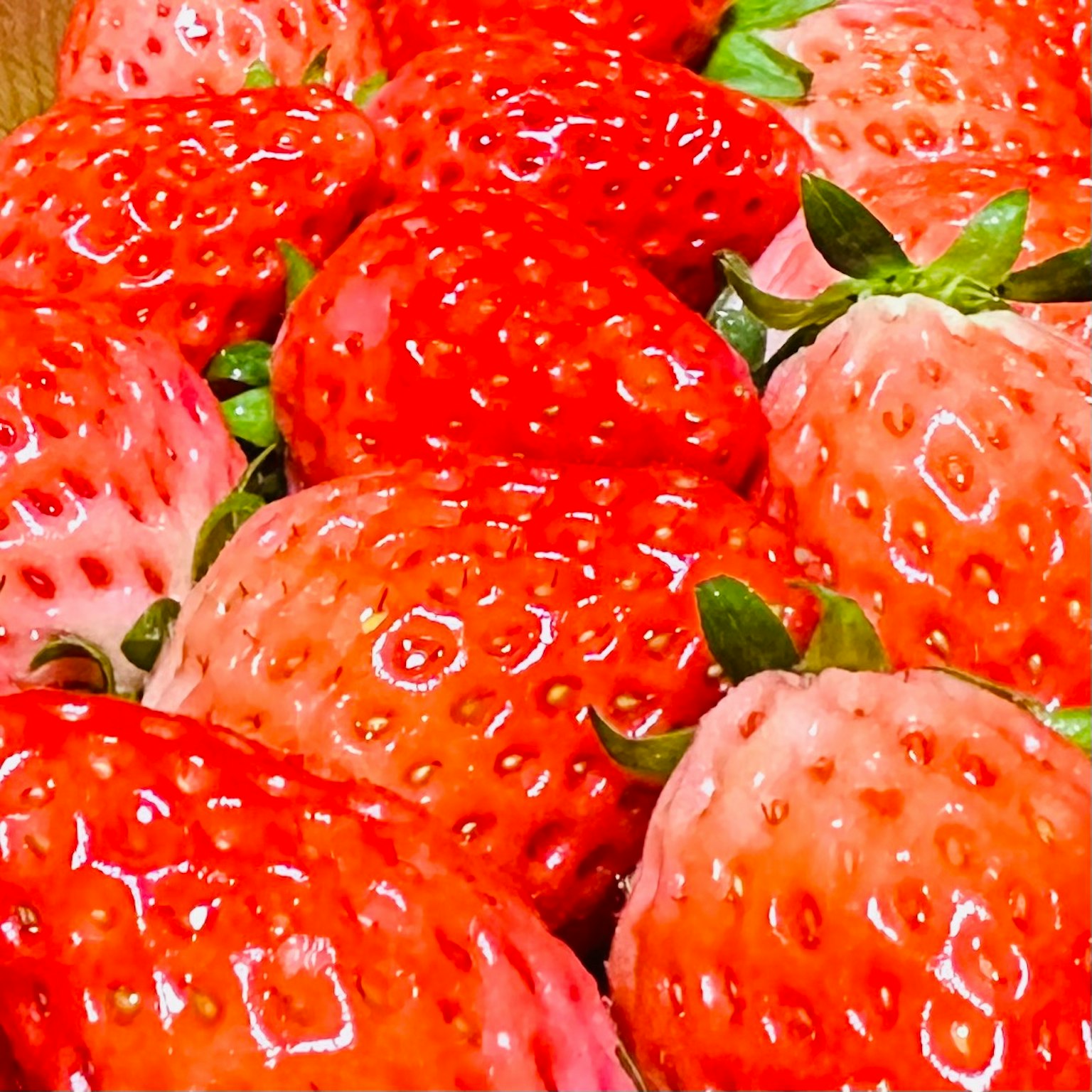 Fraises rouges vives empilées ensemble