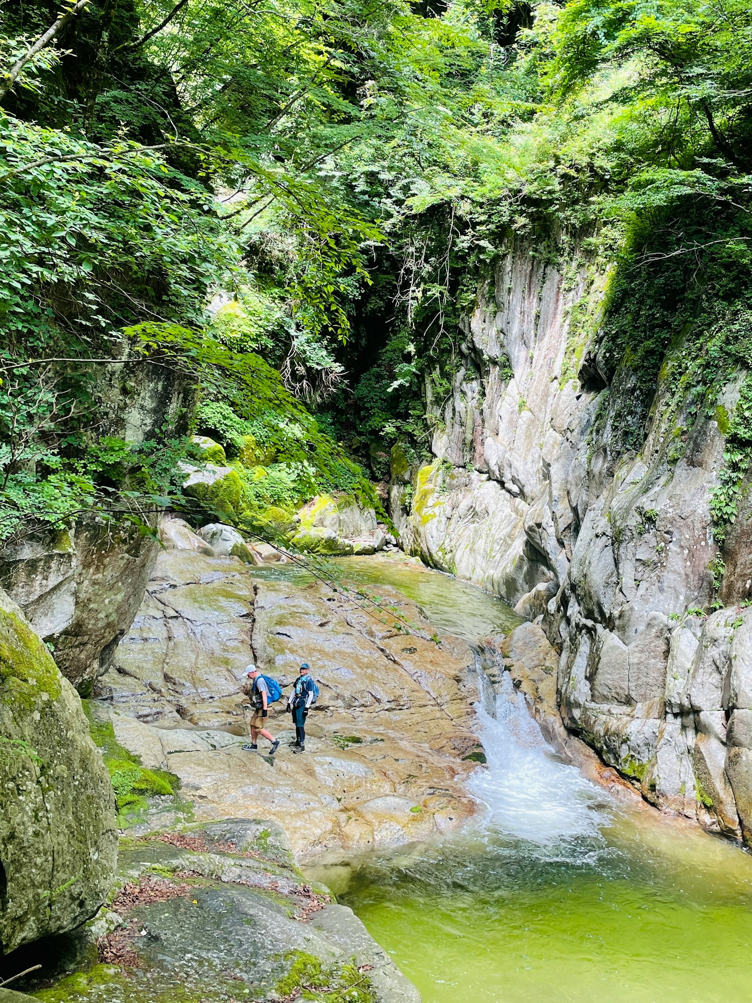 Dos excursionistas cruzando un arroyo en un cañón exuberante