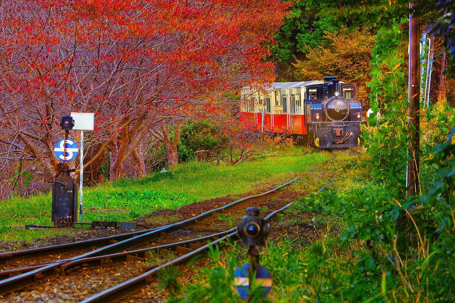 Chemin de fer pittoresque avec un train entouré de feuillage d'automne vibrant