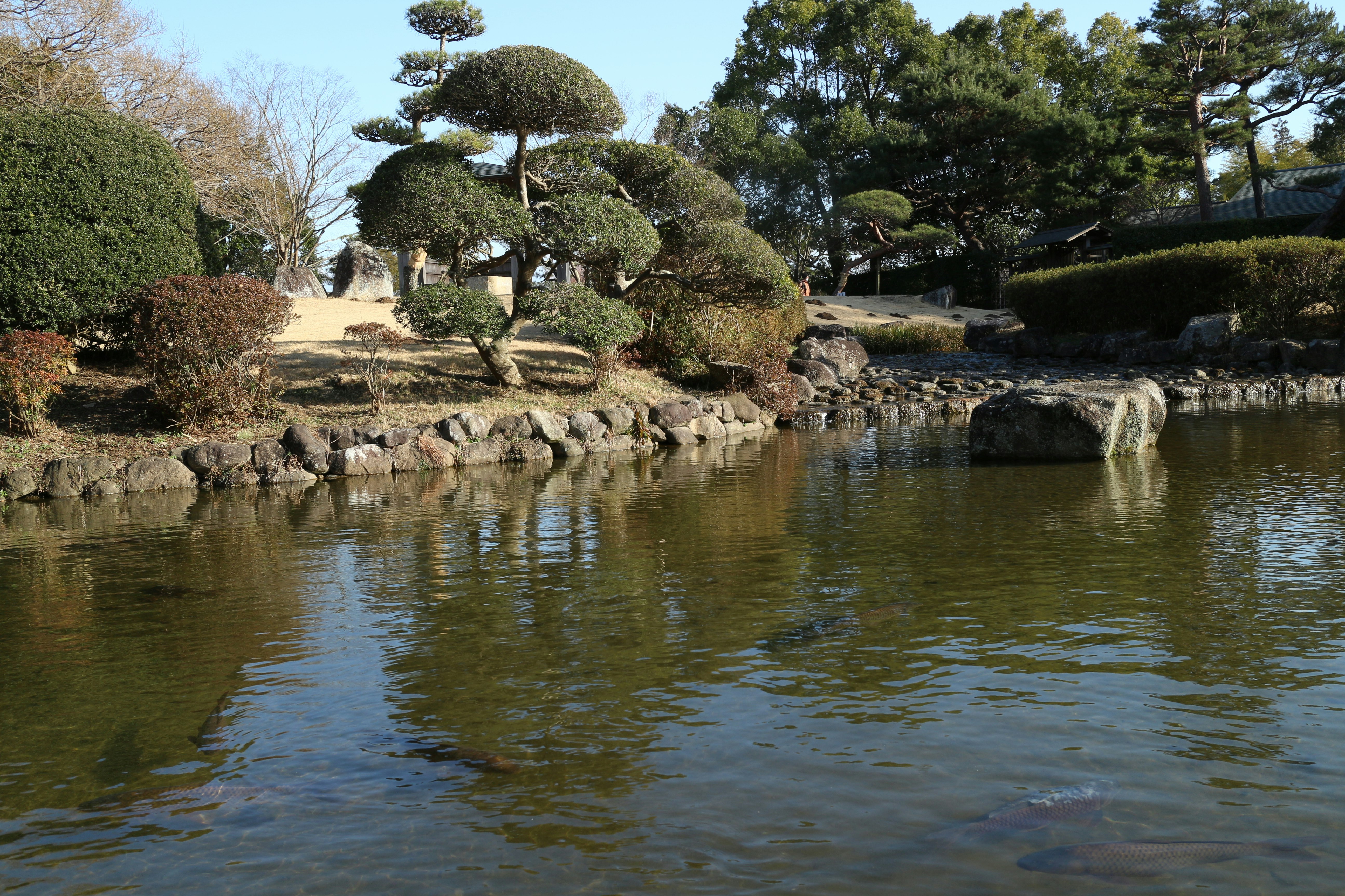 Teichwasseroberfläche mit Steinsetzung und moosigem Gartenszenen