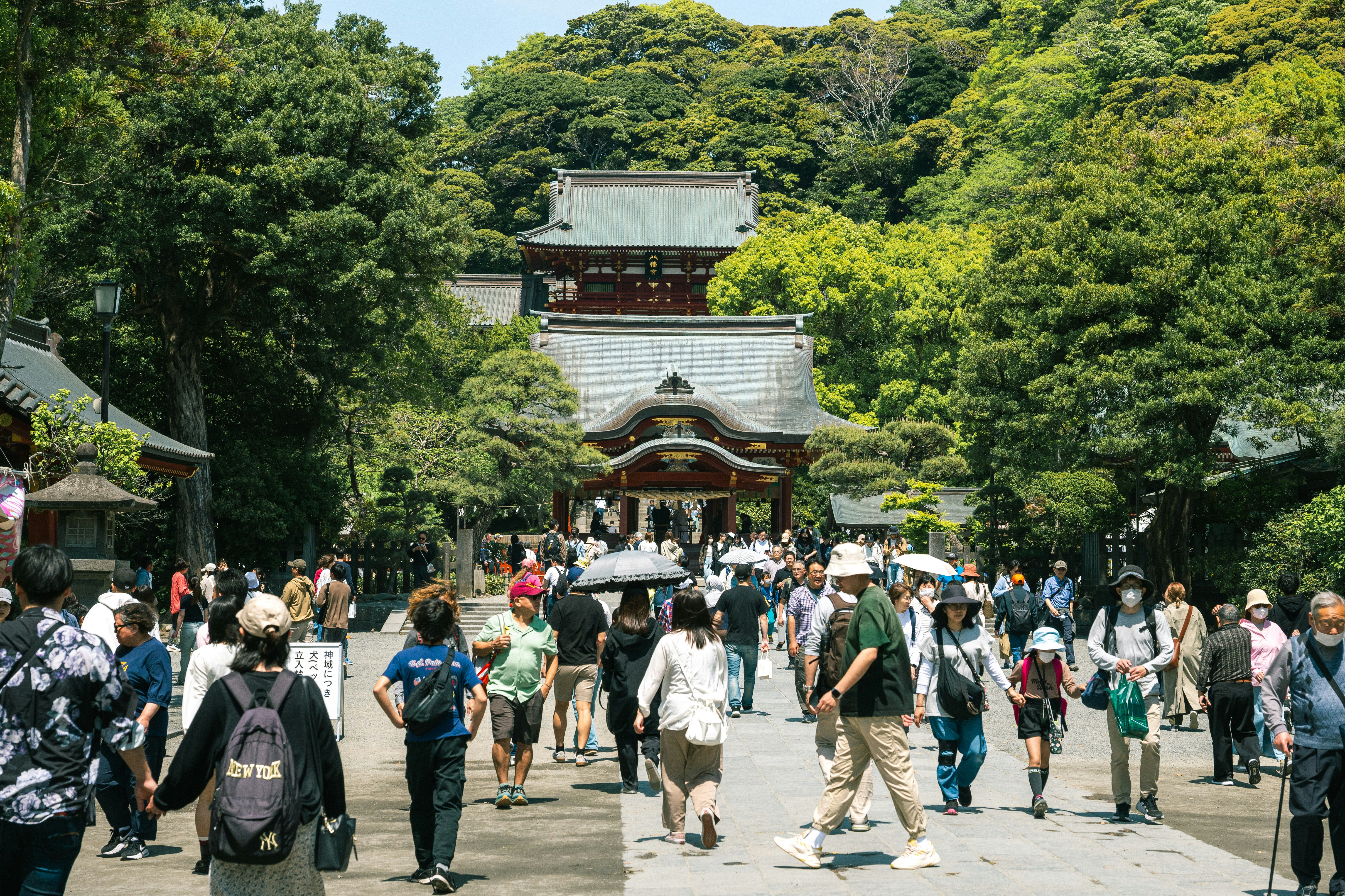 游客在绿树成荫的神社区域内行走