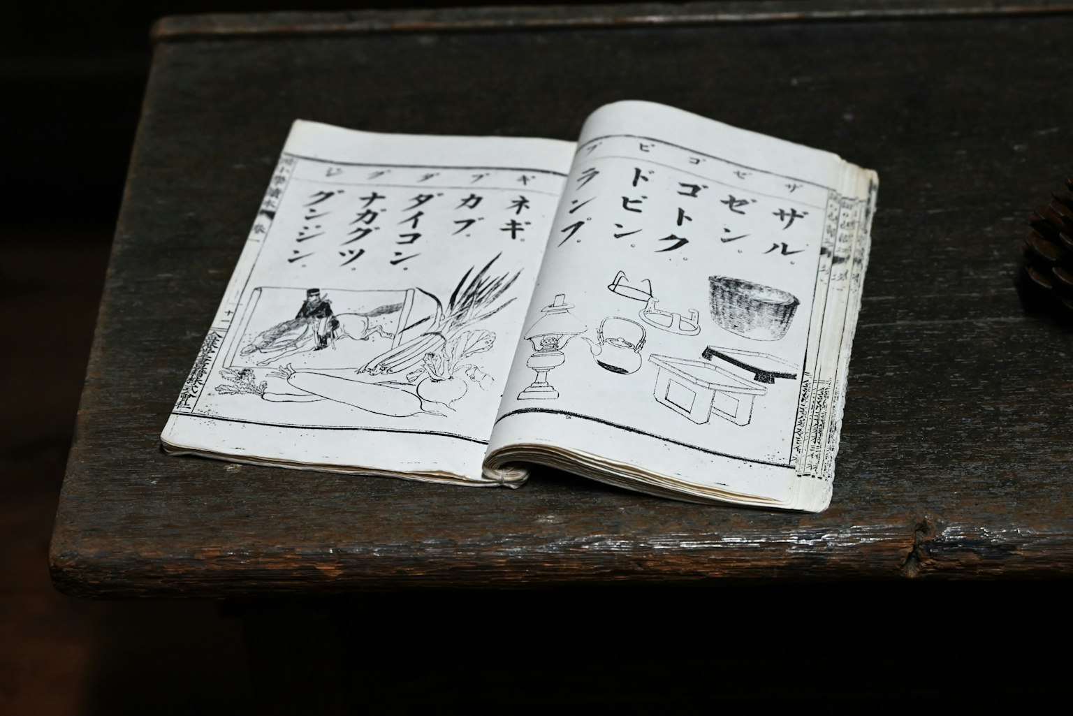 Un vieux livre ouvert avec des illustrations et du texte