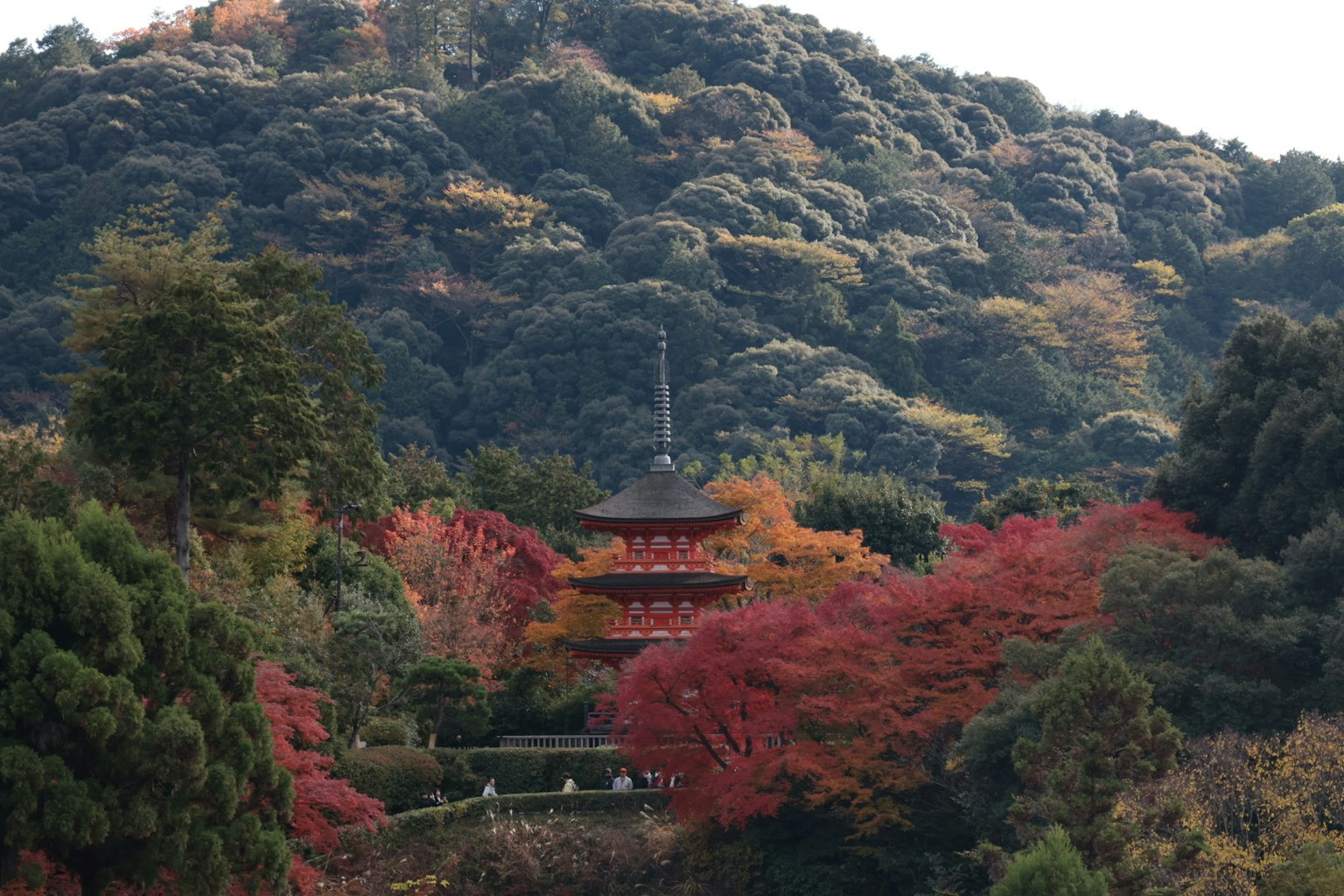 Pagoda japonesa tradicional rodeada de vibrante follaje otoñal y montañas