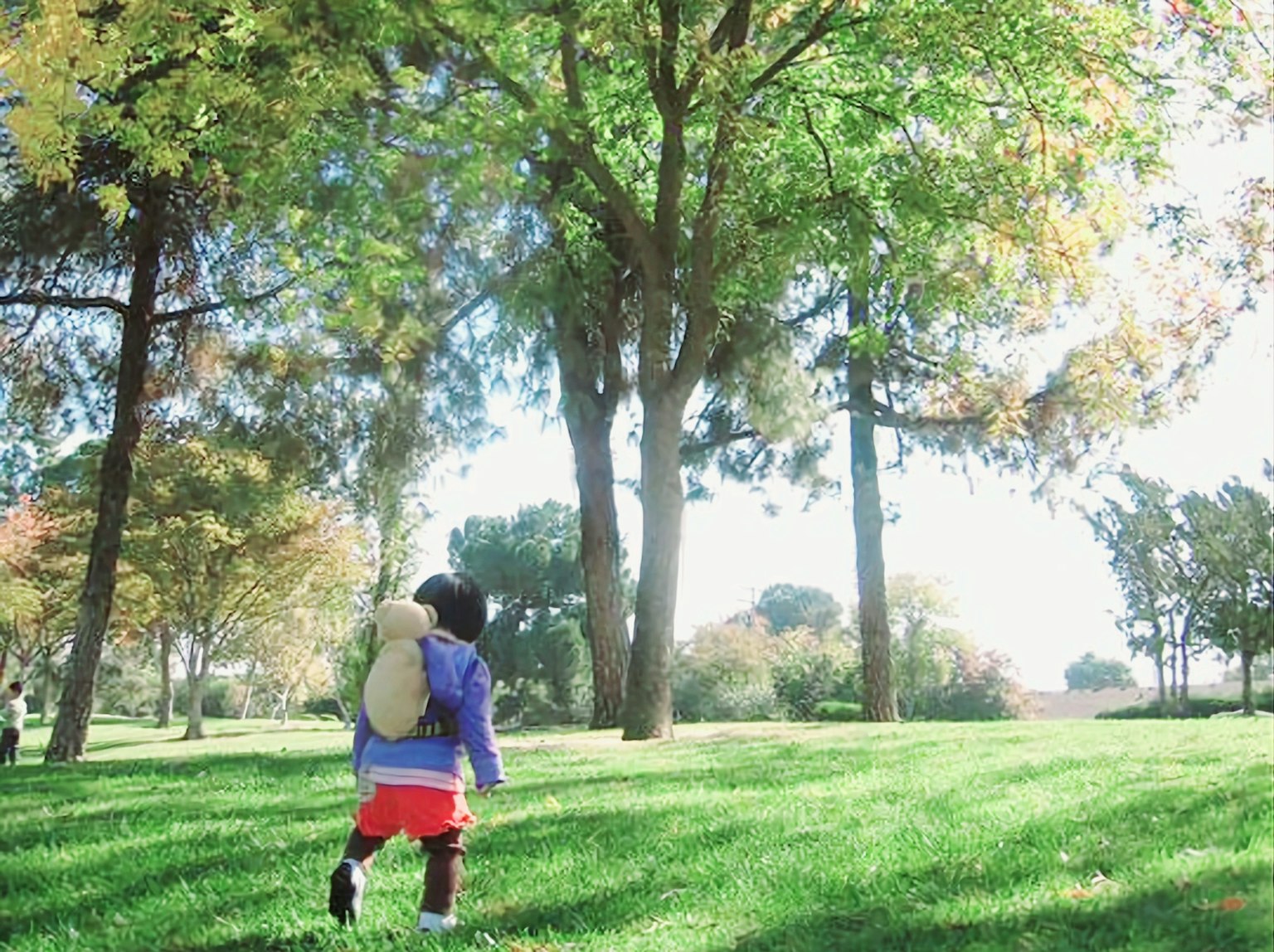 Un bambino che cammina sull'erba verde indossando uno zaino in un parco soleggiato
