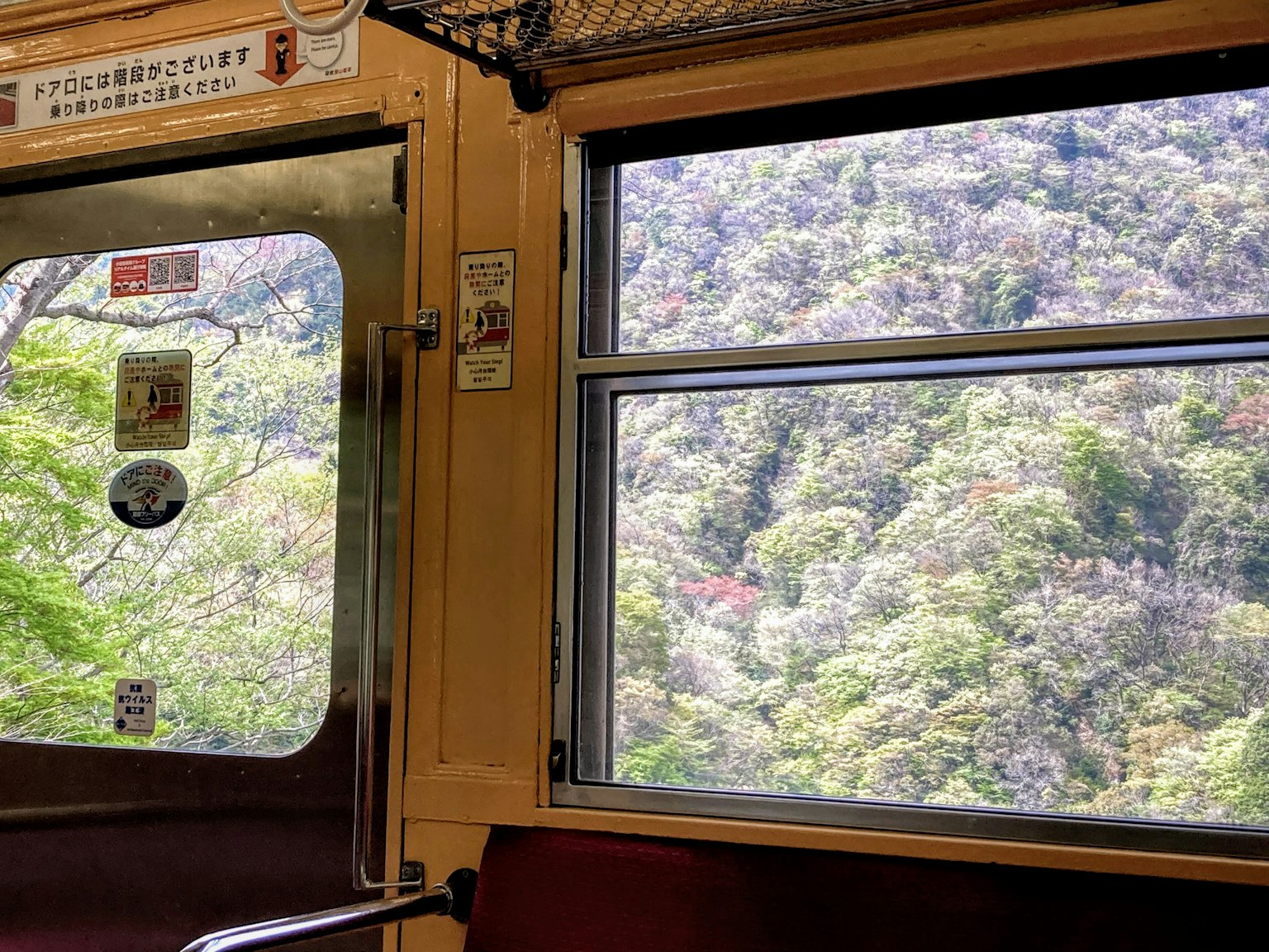Innensicht eines Zuges mit grünen Bergen außerhalb des Fensters