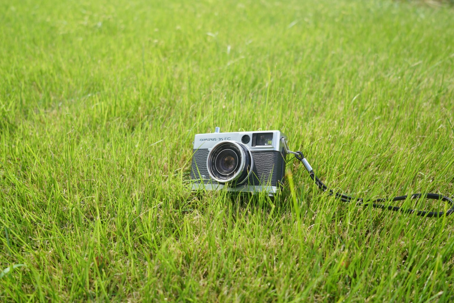 Fotocamera posizionata sull'erba verde