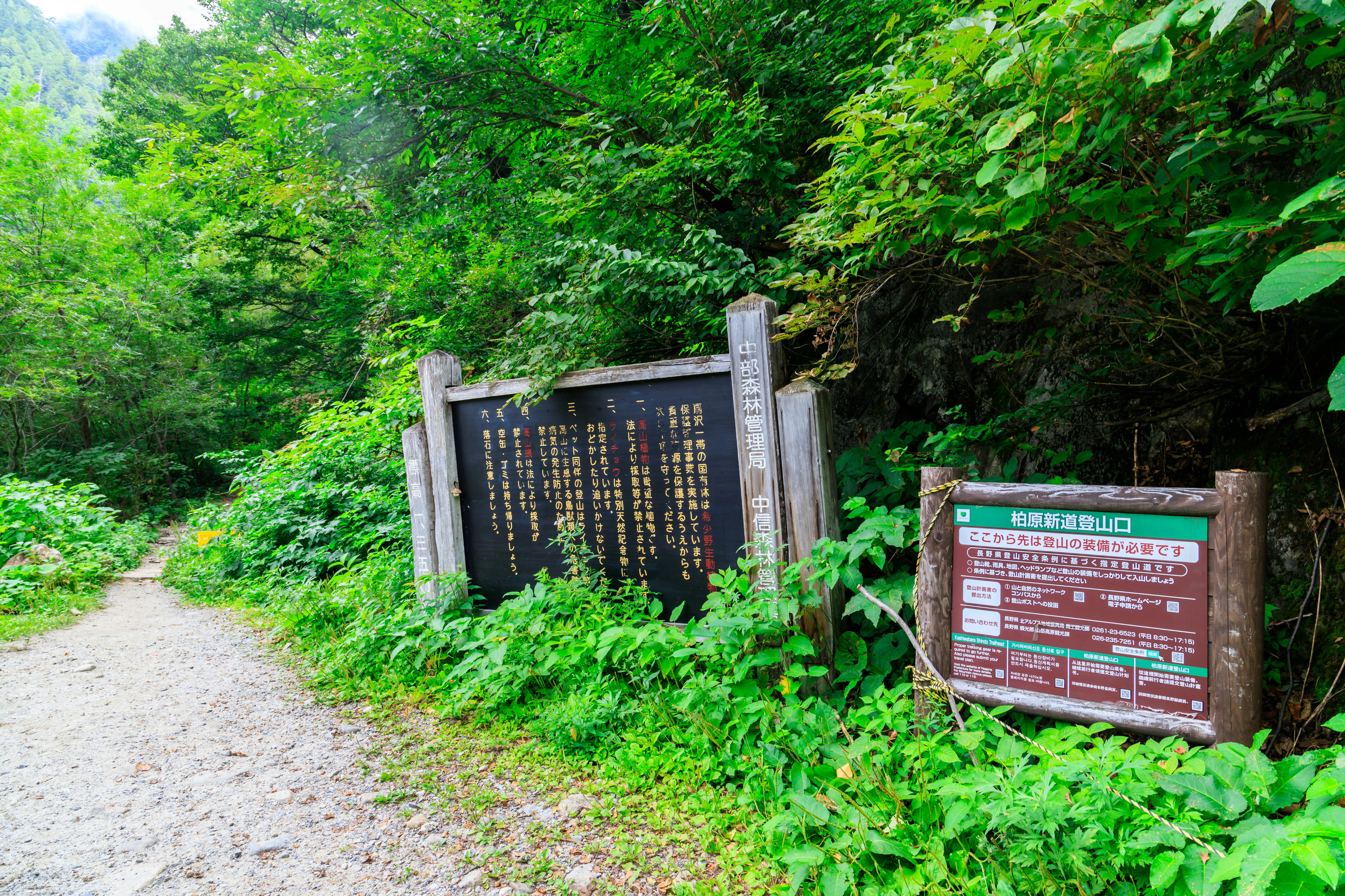 郁郁葱葱山路旁的指示牌与石碑