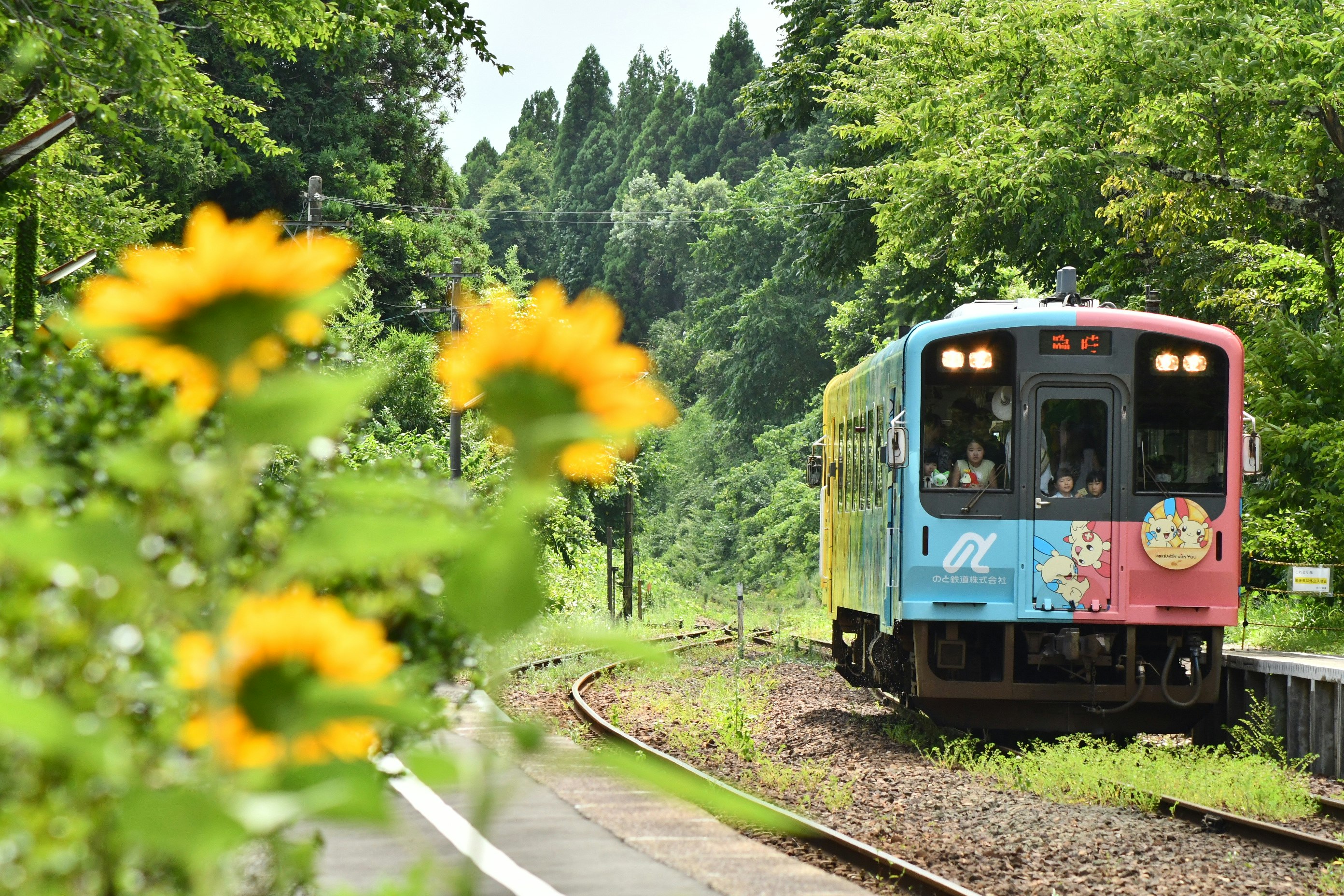 kereta Pokémon melaju di dekat ladang bunga matahari