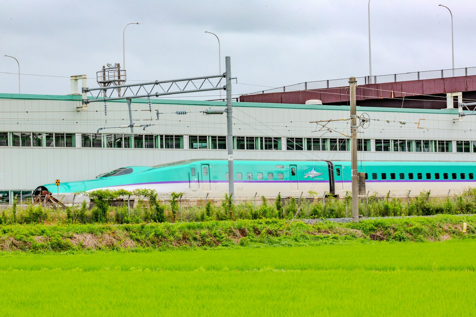 Shinkansen-Zug neben grünen Reisfeldern und einer Fabrik