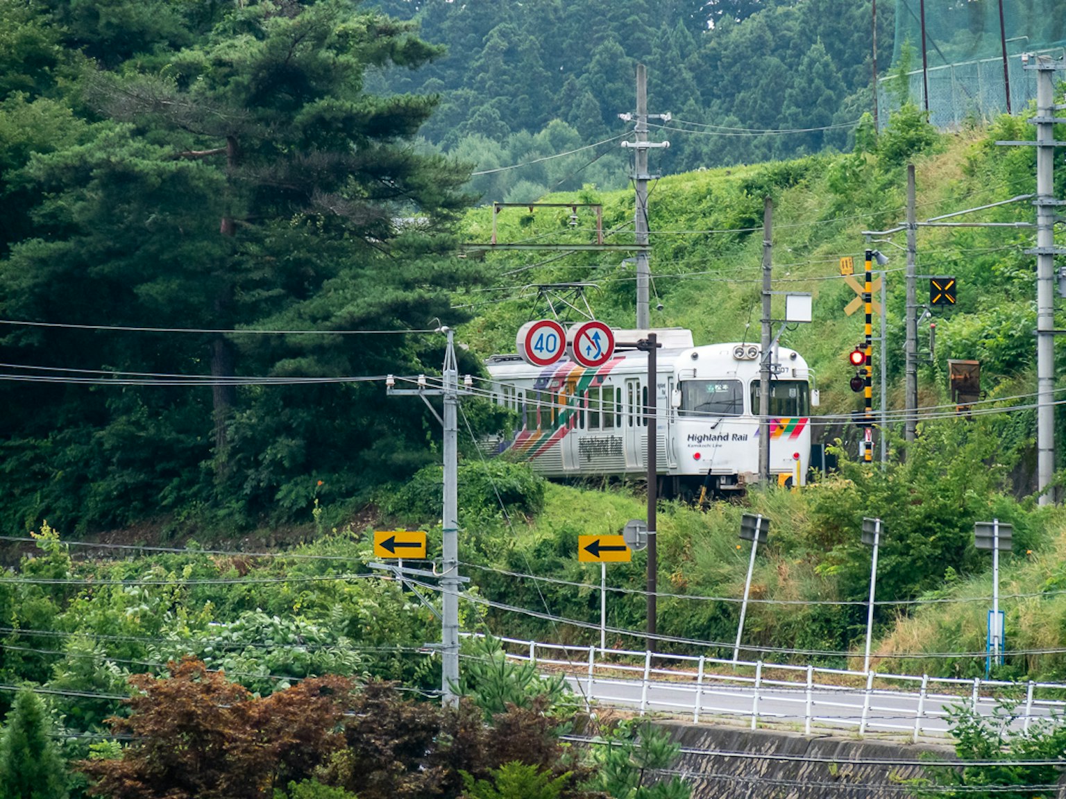 รถไฟวิ่งผ่านป่าเขียวขจีพร้อมสัญญาณจราจร