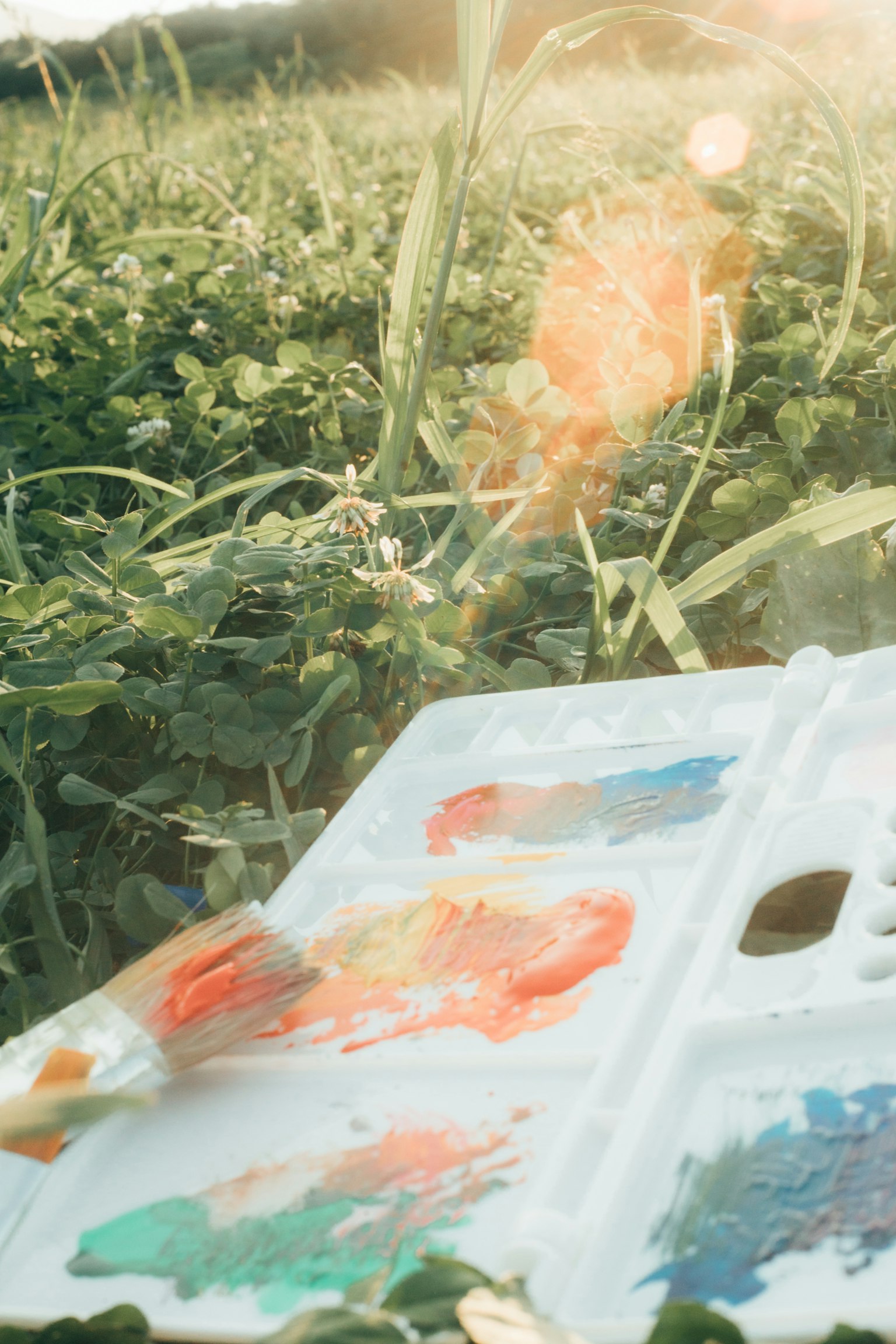 Palette with vibrant paint colors resting on grass