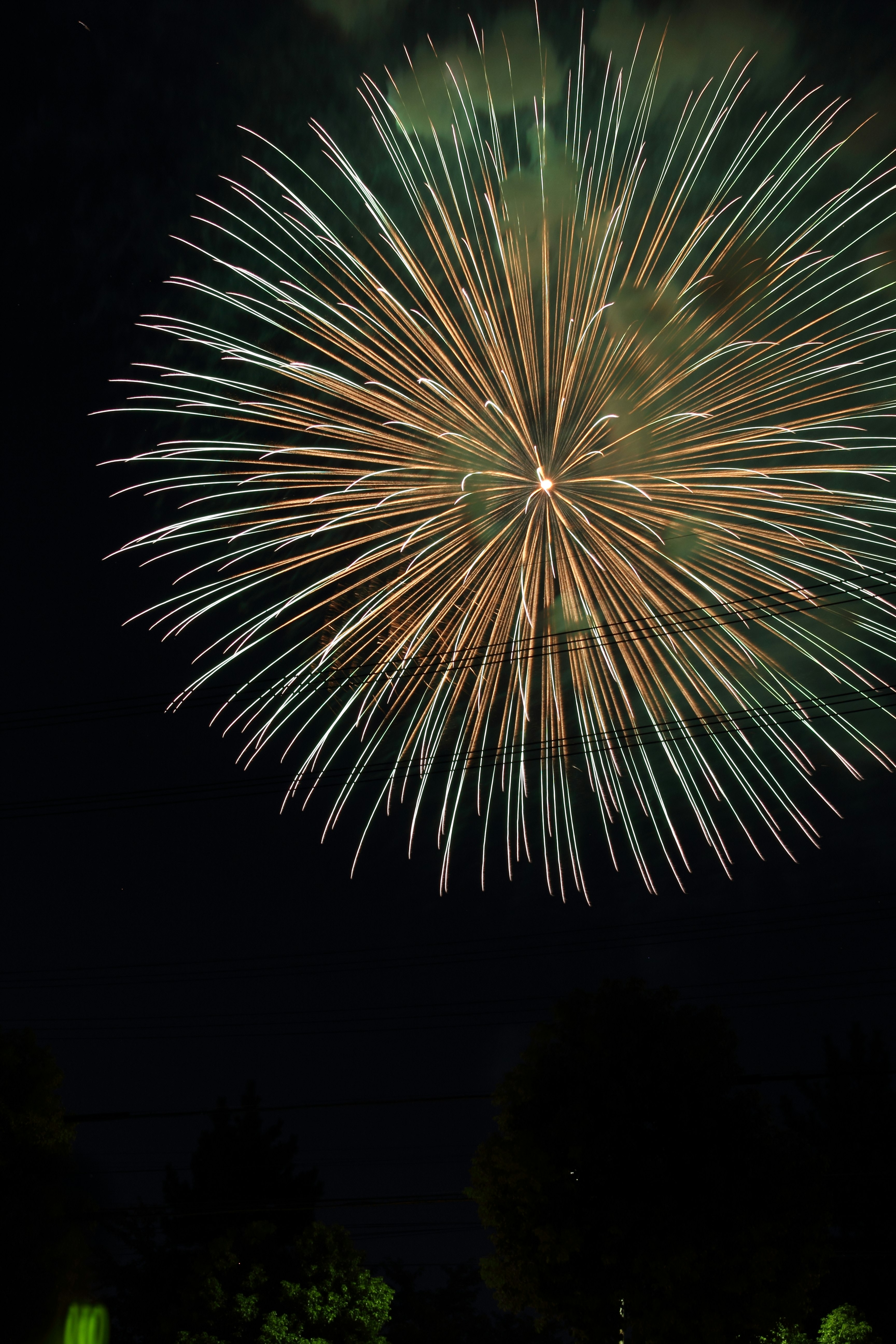 Feuerwerk, das am Nachthimmel explodiert