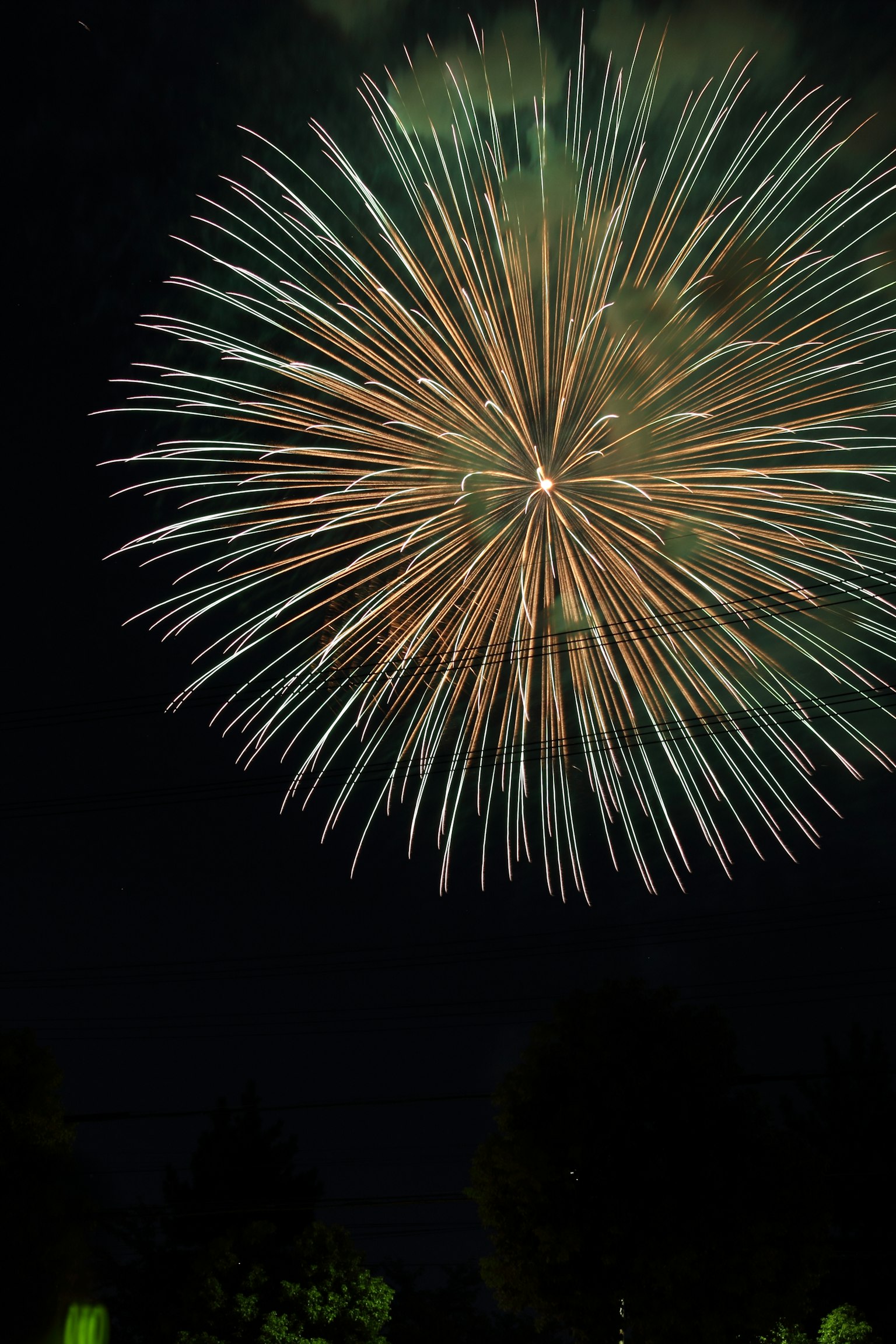 Hermoso patrón radial de fuegos artificiales estallando en el cielo nocturno