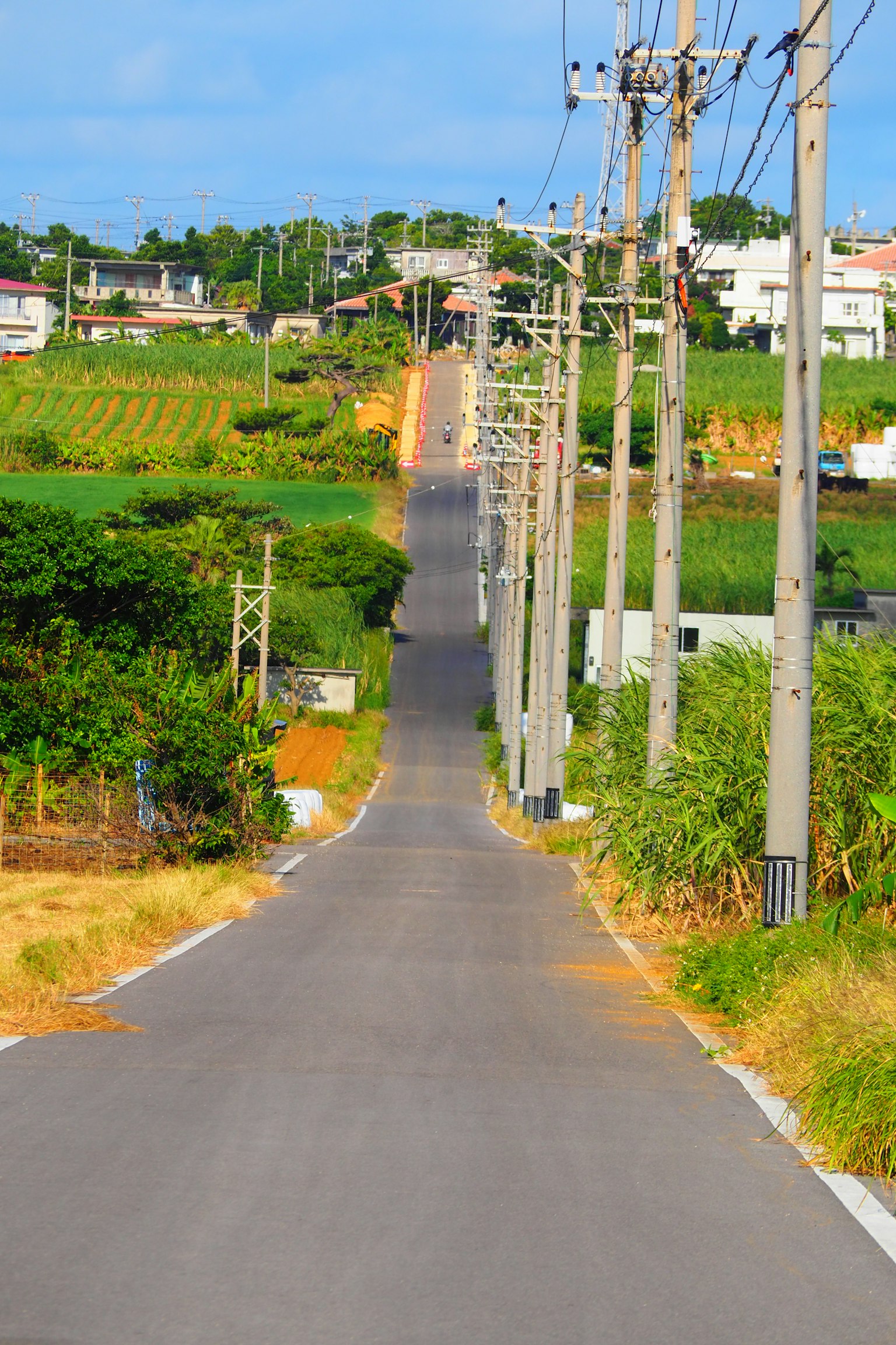 Malersiche Landstraße mit grünen Feldern und Stromleitungen