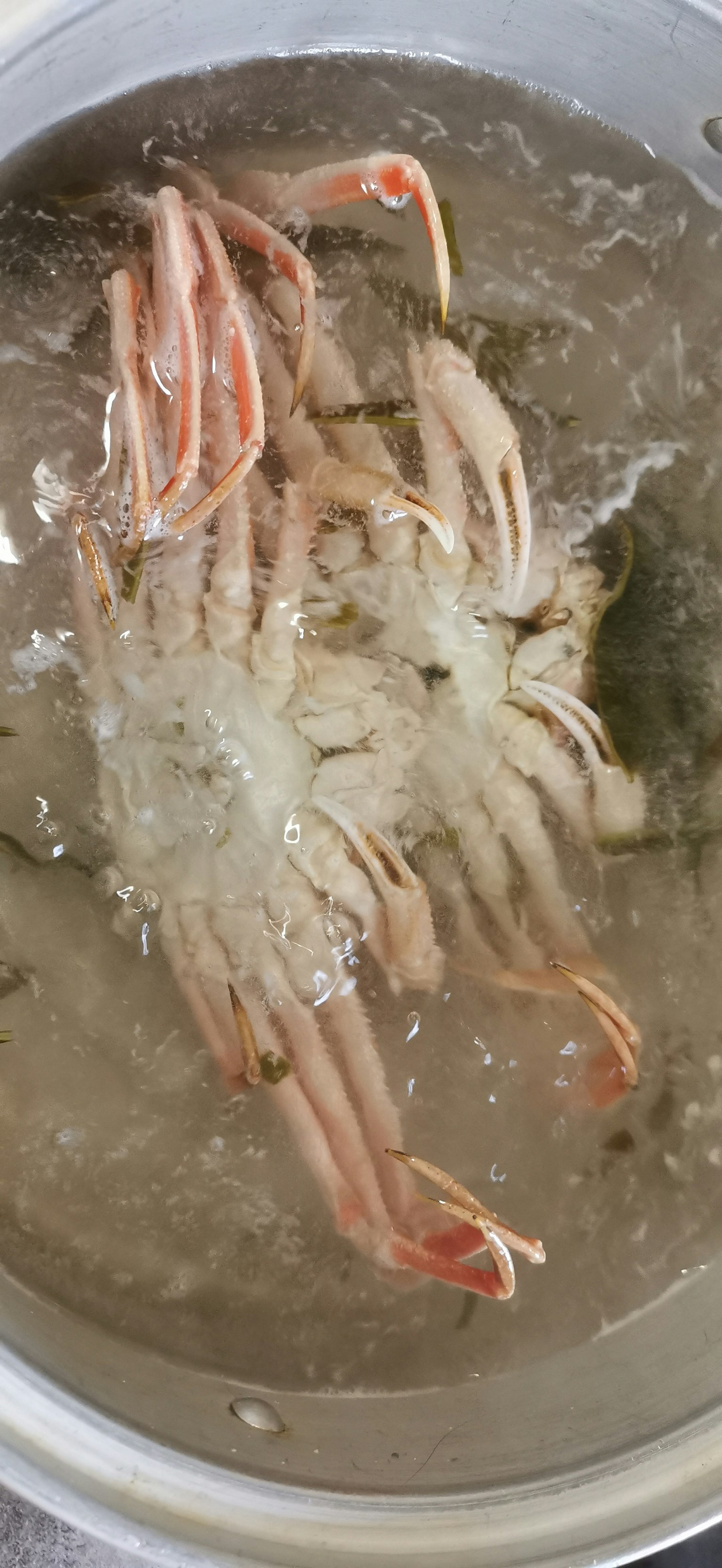 Krabbenbeine und Körper im Wasser