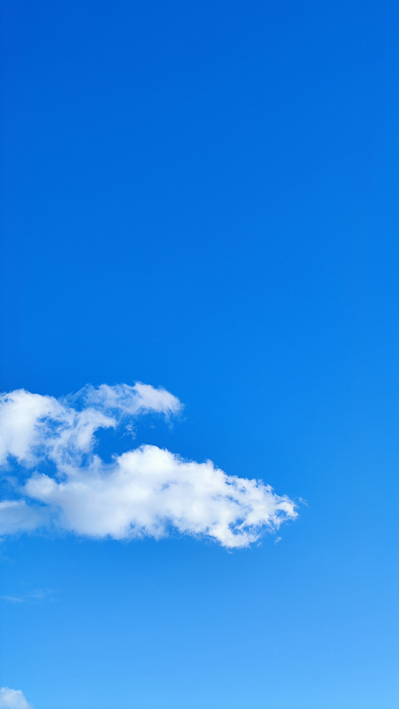 A simple scene of a white cloud floating in a blue sky