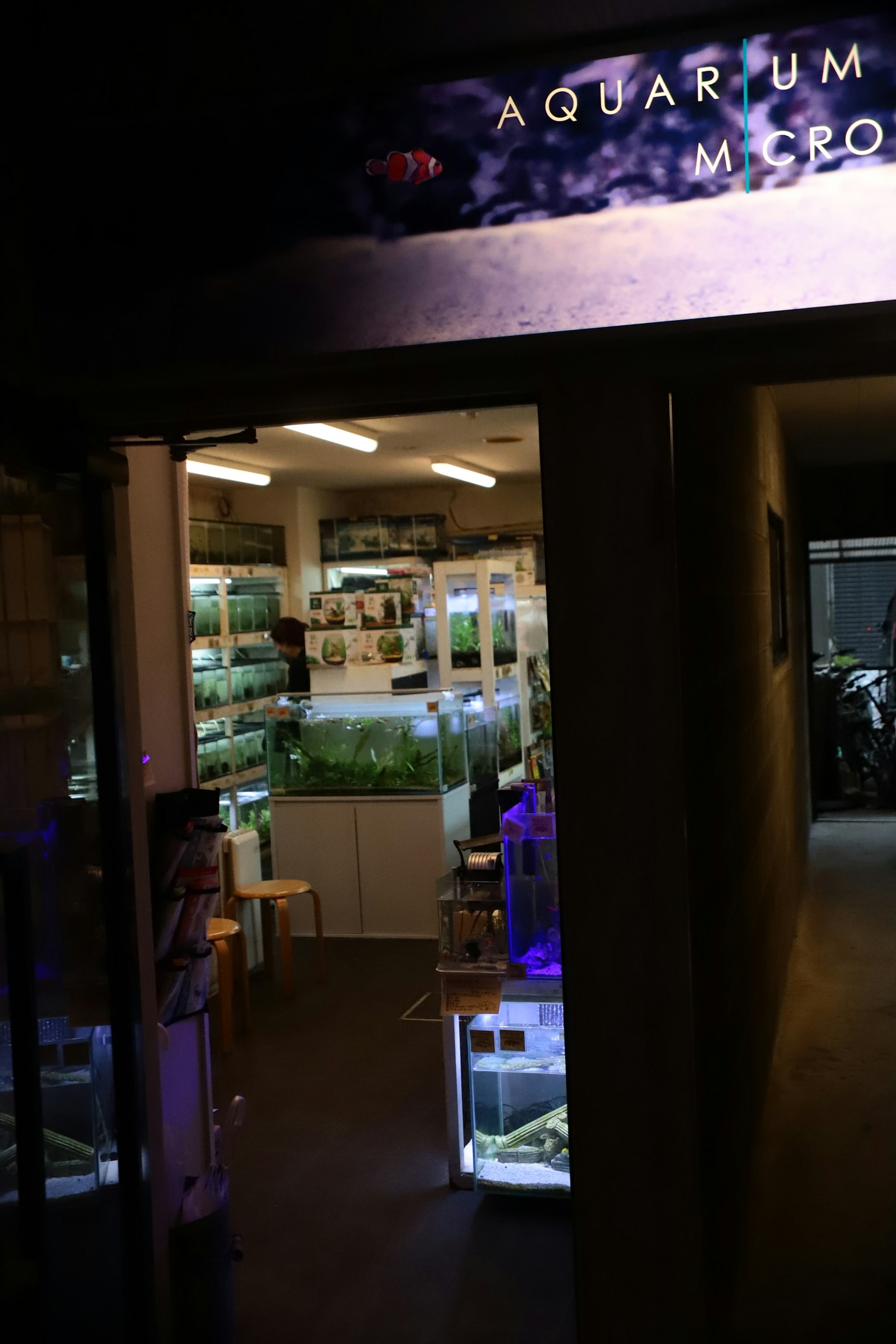 水族馆商店的入口，展示水槽和水生植物