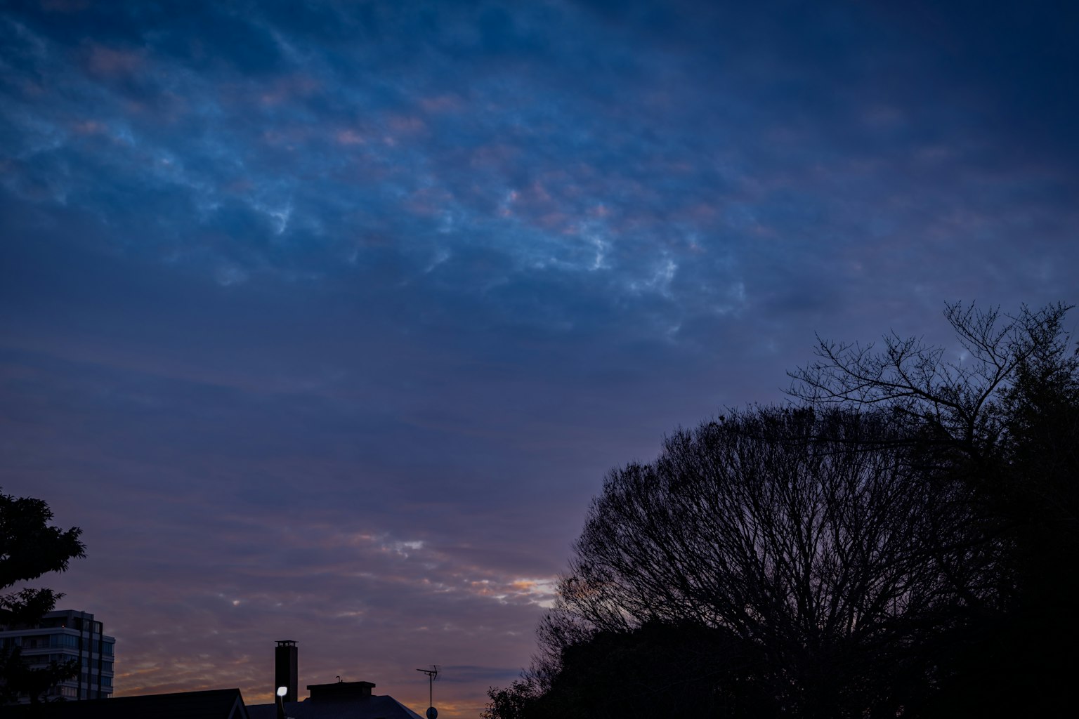Twilight sky with clouds and silhouetted trees