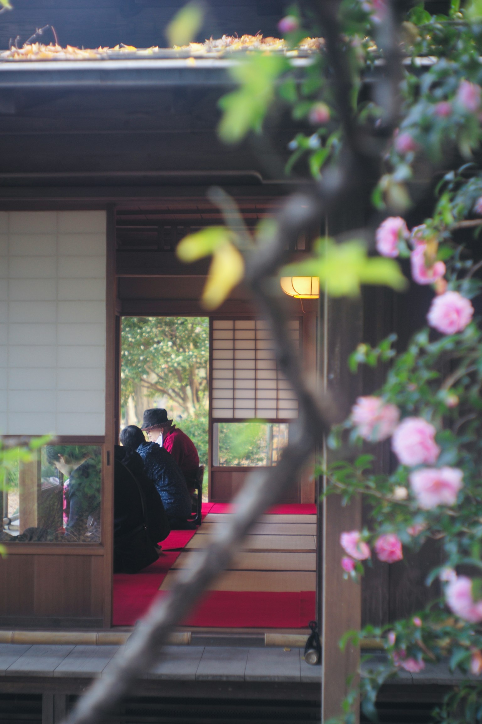 Immagine di un interno di casa giapponese tradizionale con tappeto rosso e fiori di ciliegio, atmosfera serena