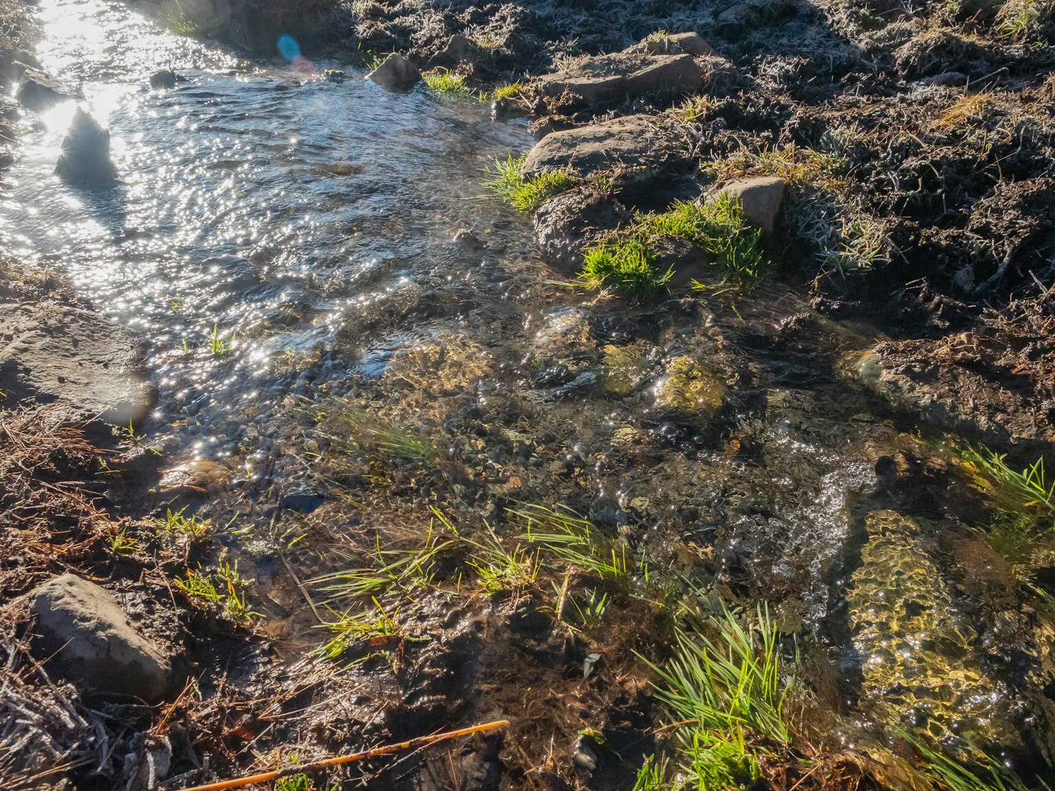 Un paesaggio con acqua che scorre su terreno roccioso e erba verde