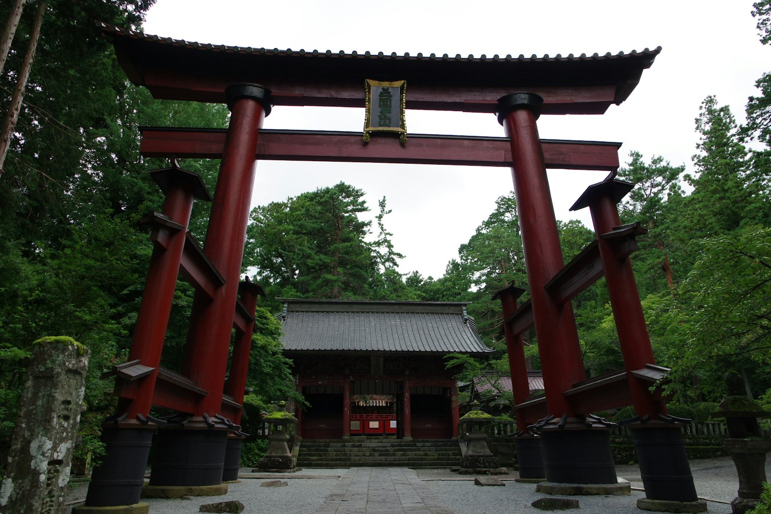 Porta torii rossa con un edificio di santuario circondato da vegetazione