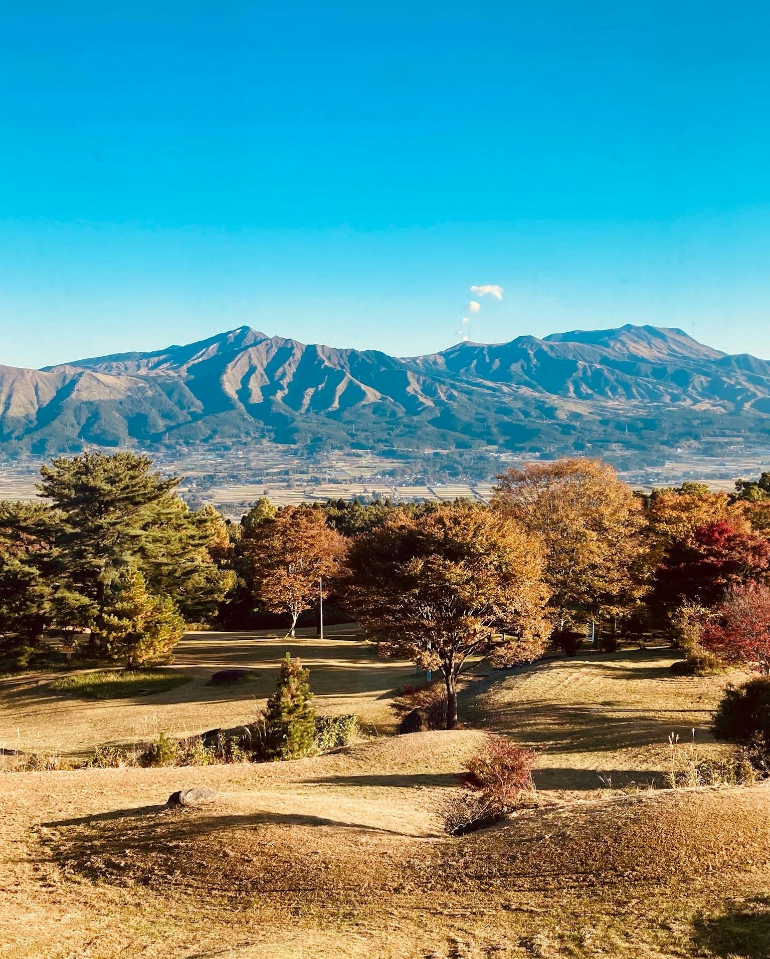 Vista panoramica di alberi colorati e montagne sotto un cielo blu chiaro