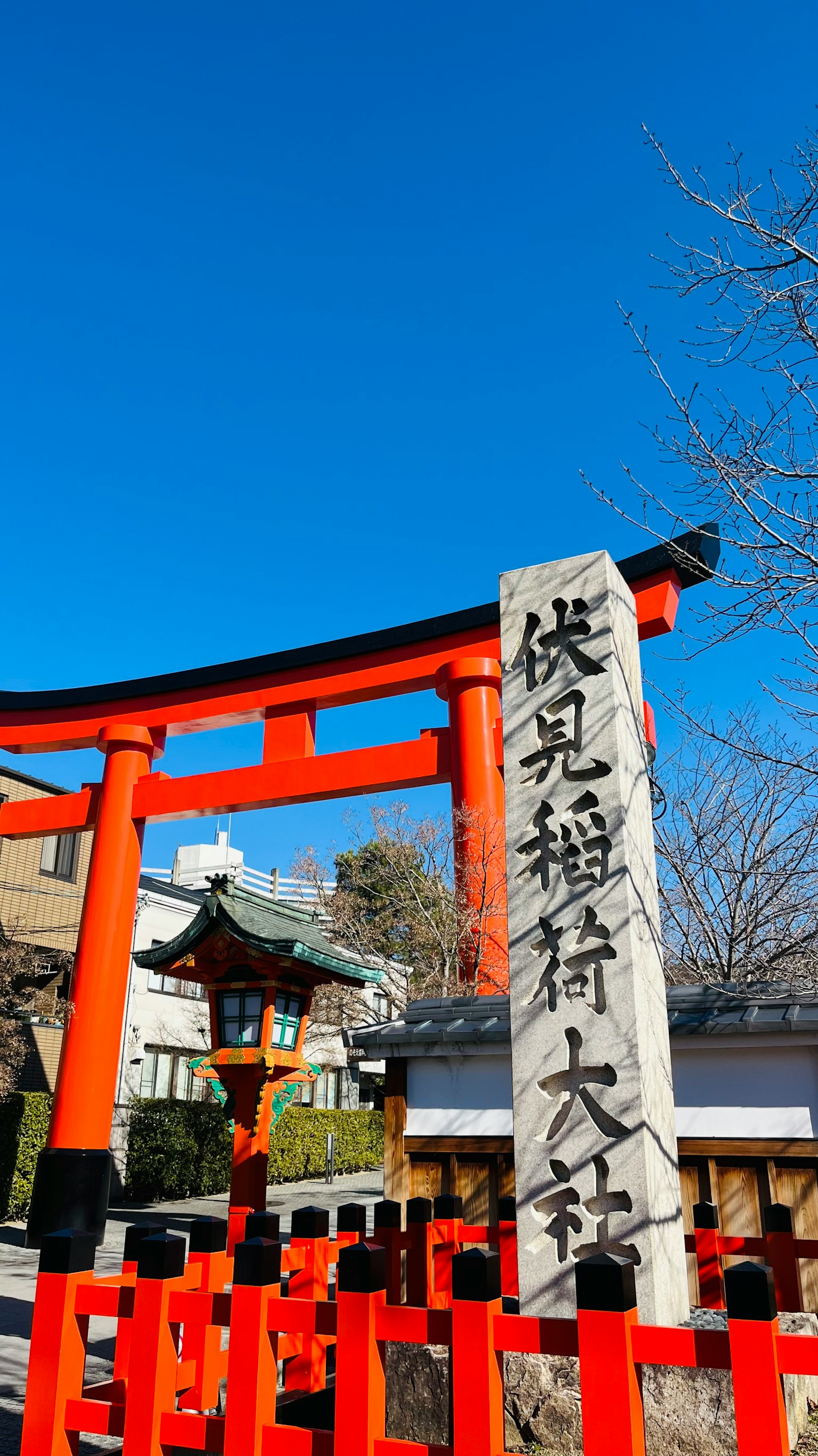 红色鸟居和石头标志的神社景观