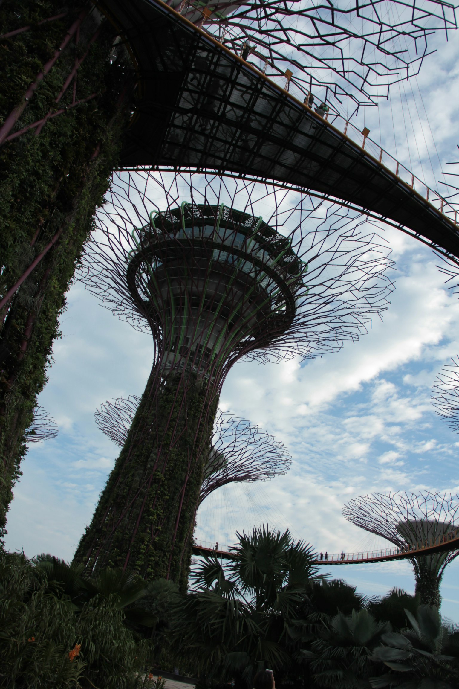 Superbaum-Strukturen in den Gärten der Bucht in Singapur