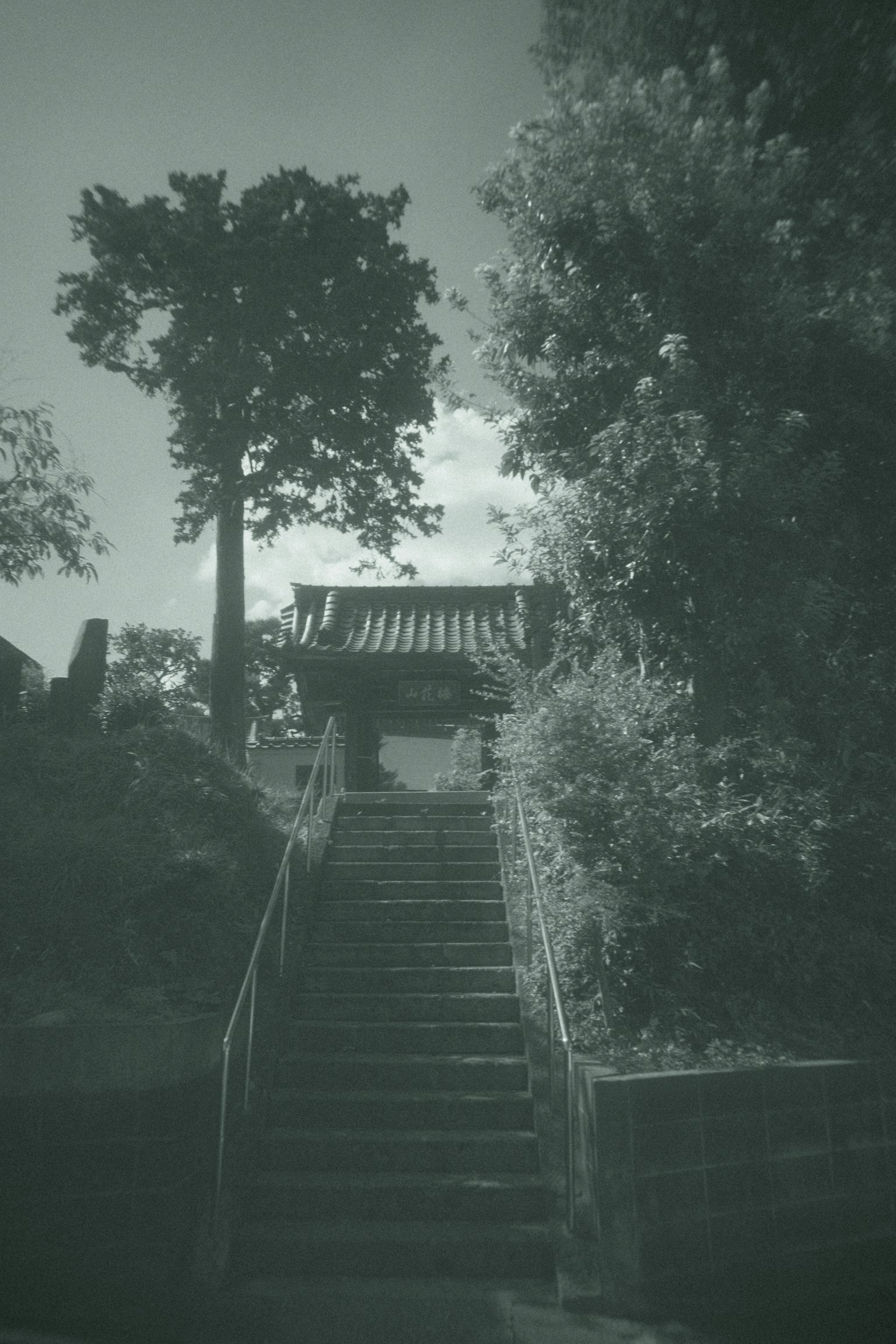 石階上方可見的寺廟屋頂和周圍的樹木