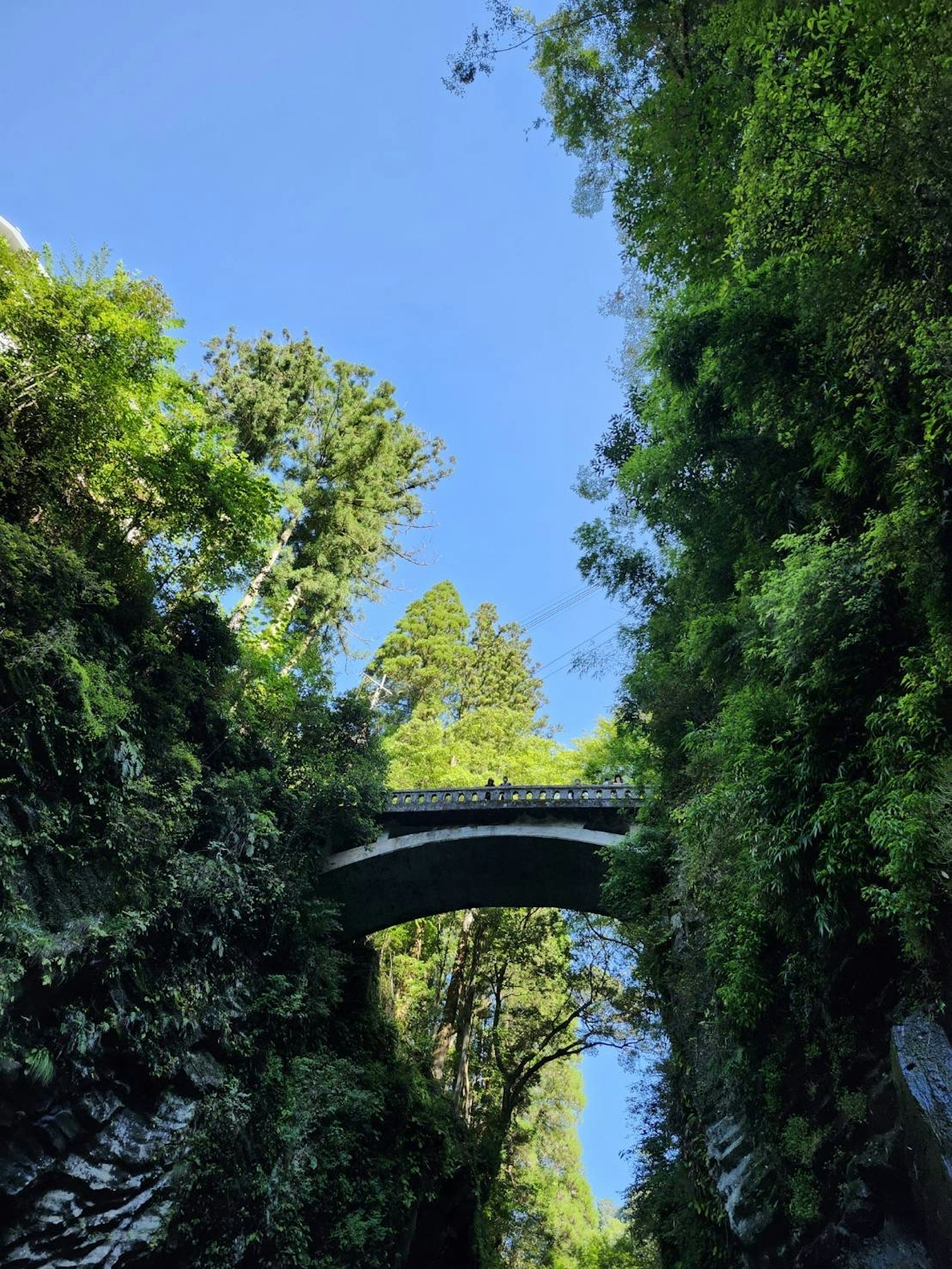 Eine malerische Aussicht auf eine Schlucht mit einer Brücke, umgeben von üppigem Grün unter einem blauen Himmel