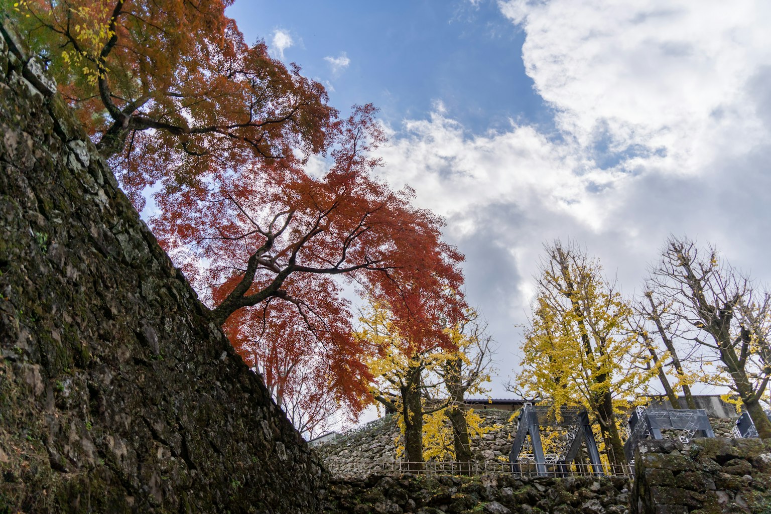 Malersicher Blick auf herbstliche Bäume mit lebhaften Farben unter blauem Himmel