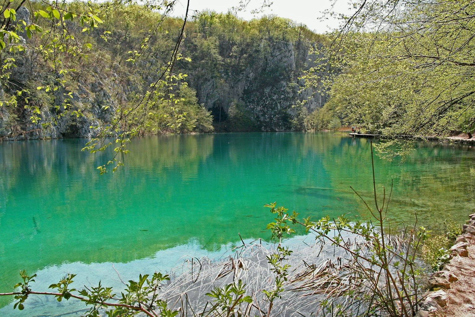 Vue pittoresque d'un étang avec de l'eau turquoise et une végétation luxuriante