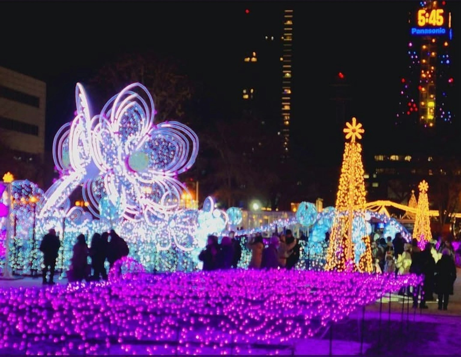 Crowd enjoying vibrant light displays in a park with a decorated tree at night