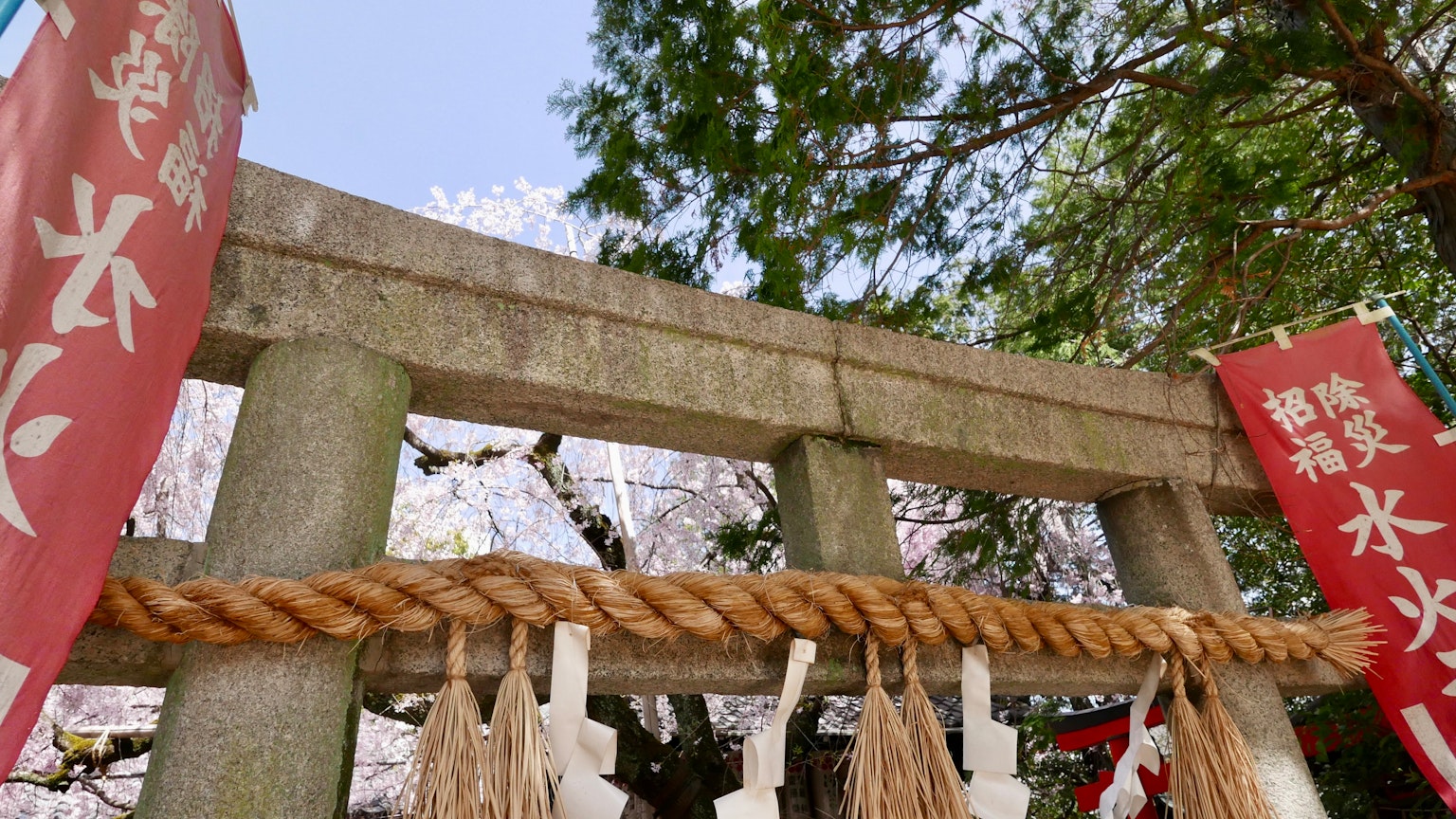 樹木環繞的神社中的鳥居和注連繩
