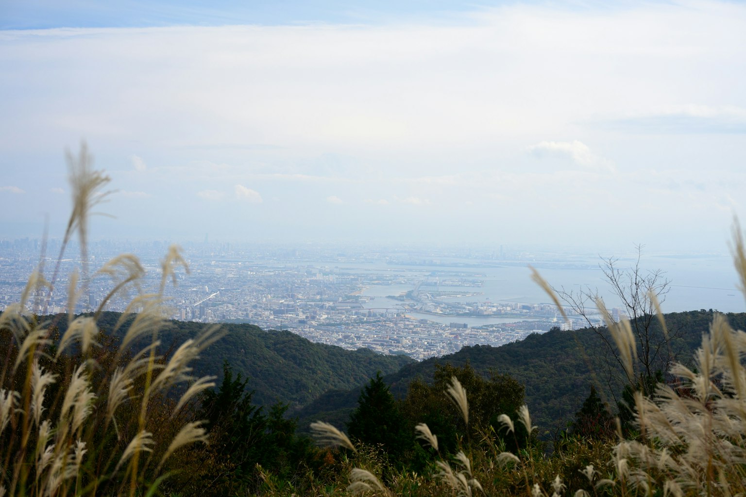 山の頂上からの都市の眺めと草原の風景