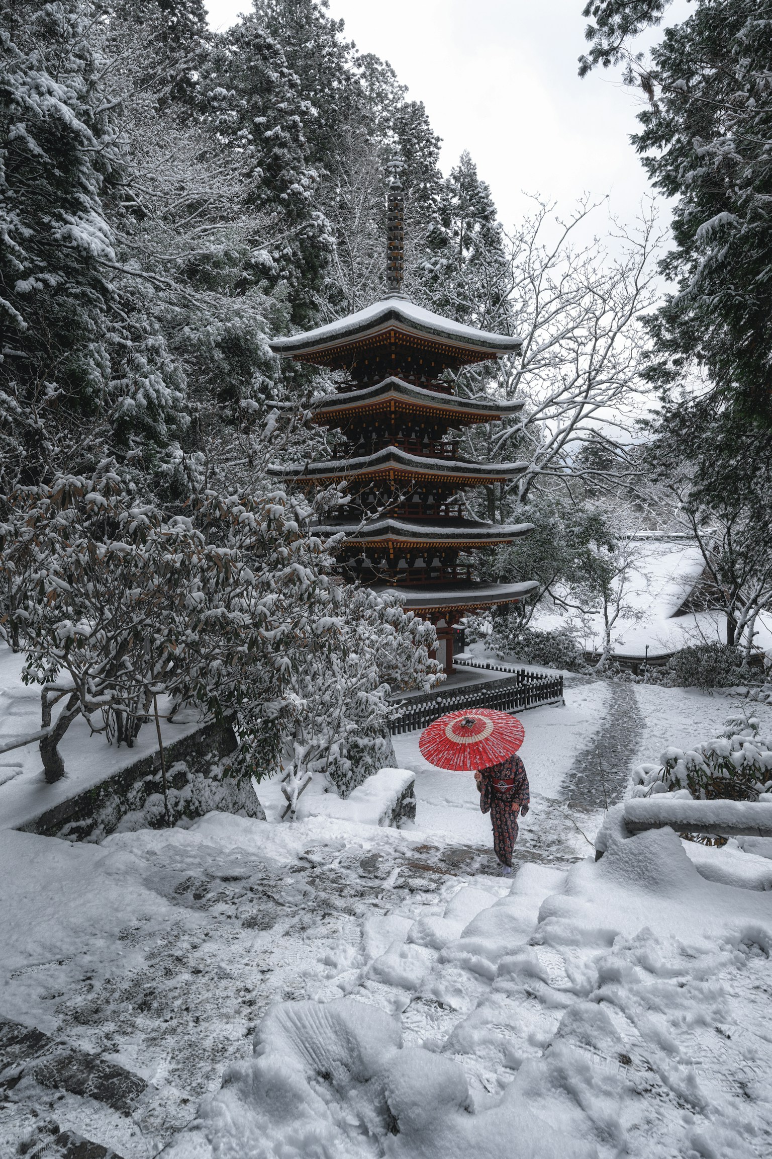 photo-klZOEcAcI1pxB6bvlUqr-image