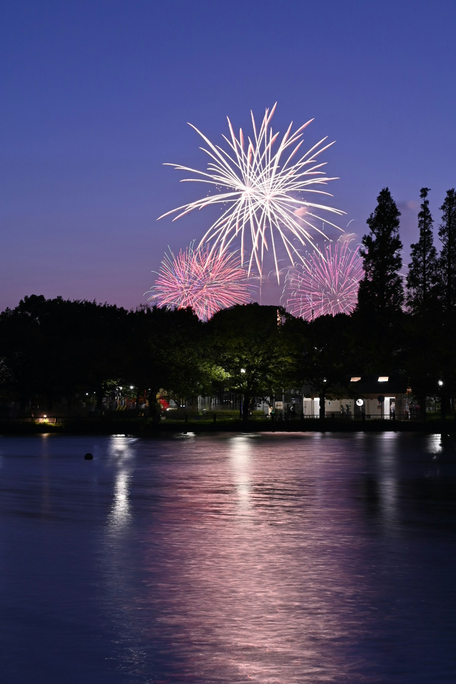 Feux d'artifice illuminant le ciel nocturne au-dessus d'un lac