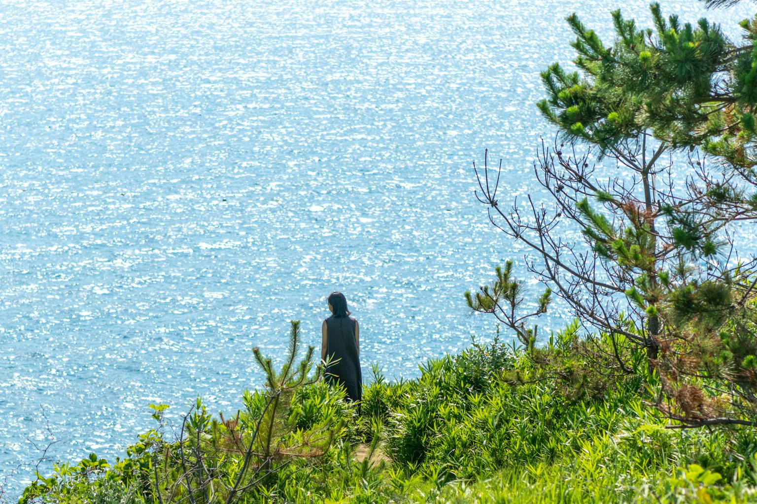 Silhouette einer Person, die auf einer üppigen Klippe am Meer steht