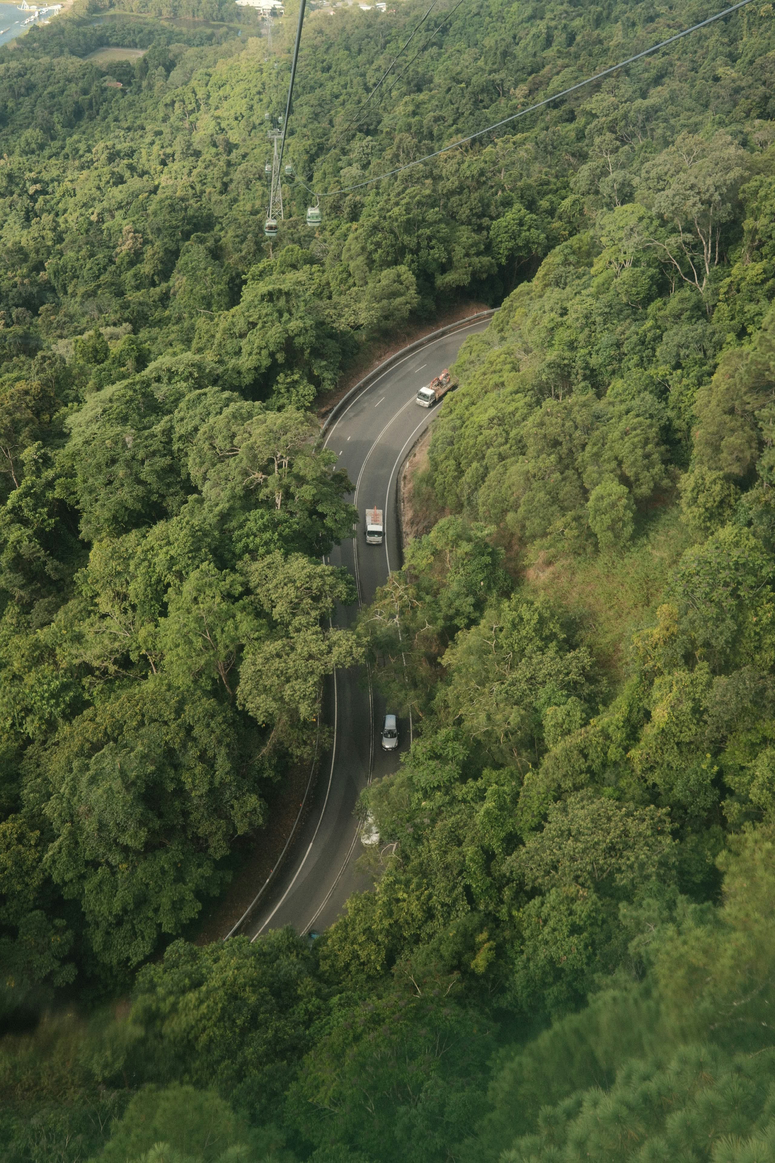 緑の森を蛇行する山道と車