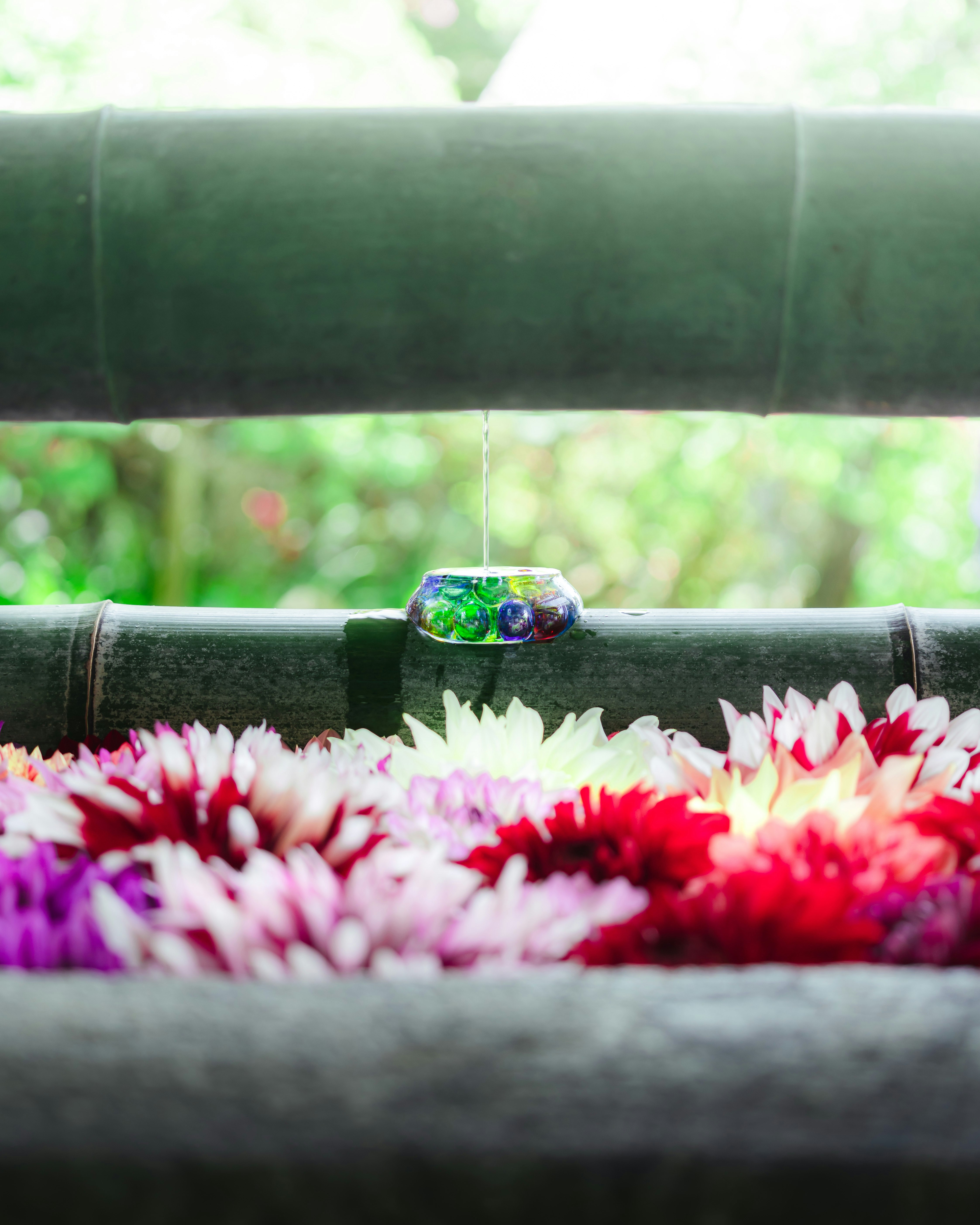 fleurs colorées disposées sur un banc vert avec un petit ornement décoratif