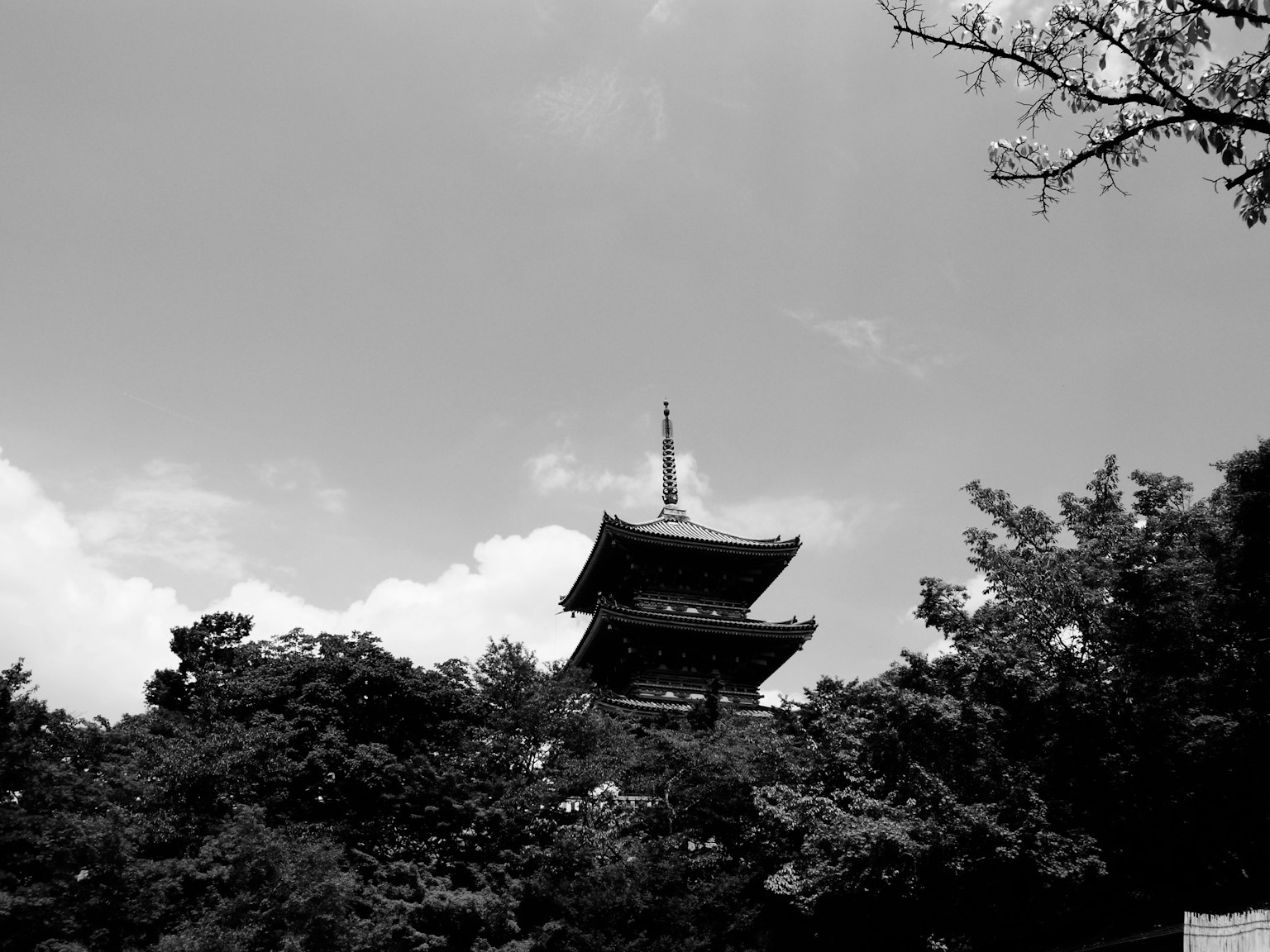 흑백 배경의 전통 일본 탑과 나무들