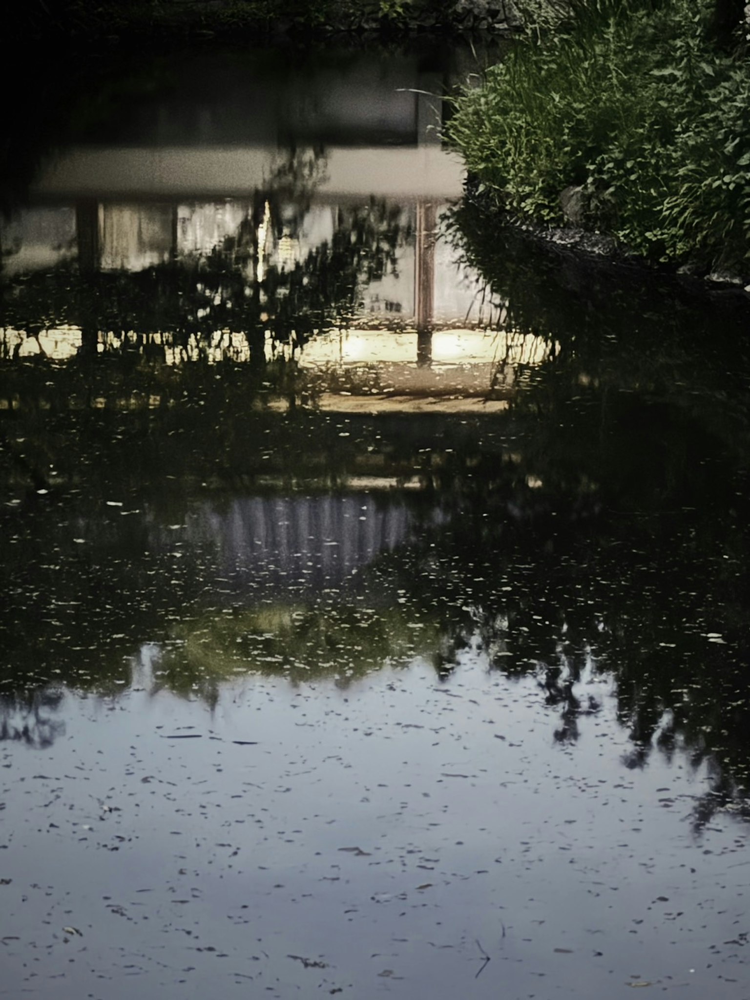 Refleksi bangunan tua di kolam tenang dikelilingi tanaman hijau dan daun jatuh