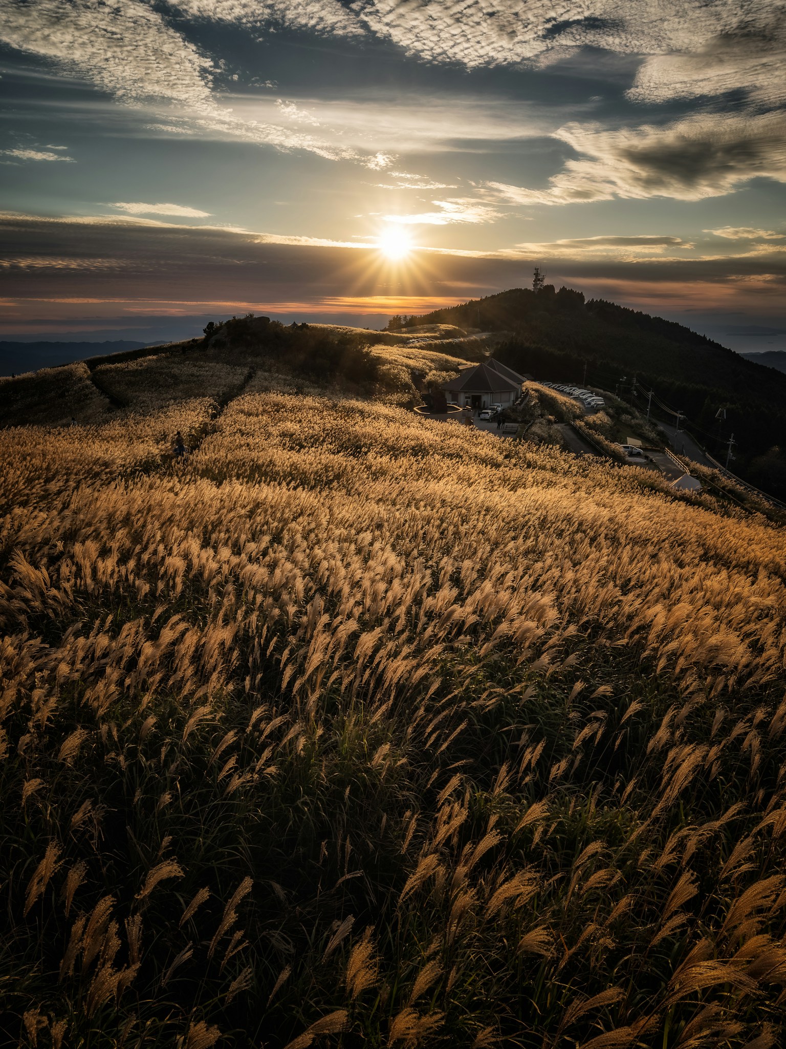 photo-knB4DhrCg90B6VVZxTms-image