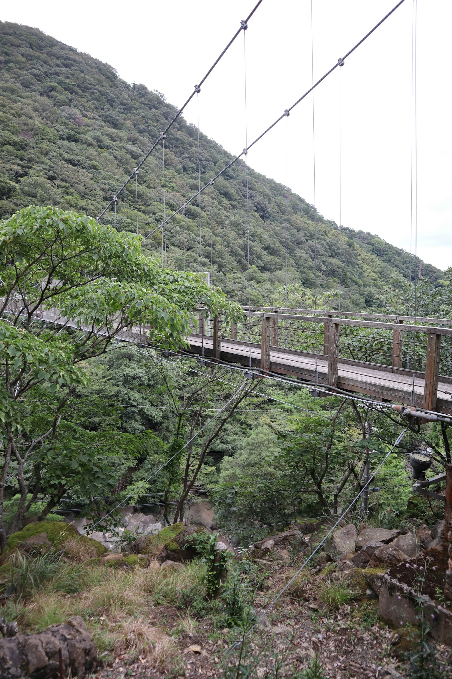 Puente colgante rodeado de montañas y árboles
