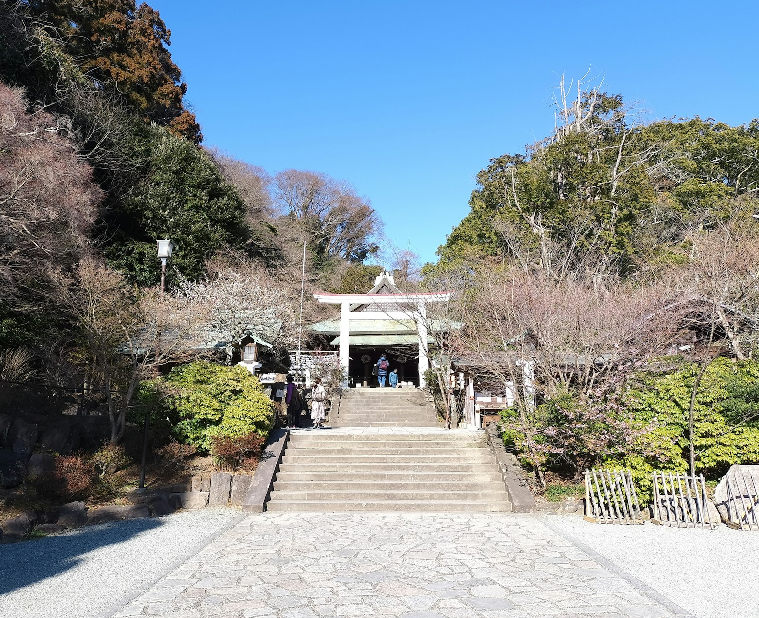 Stone steps leading to a shrine entrance with a torii gate