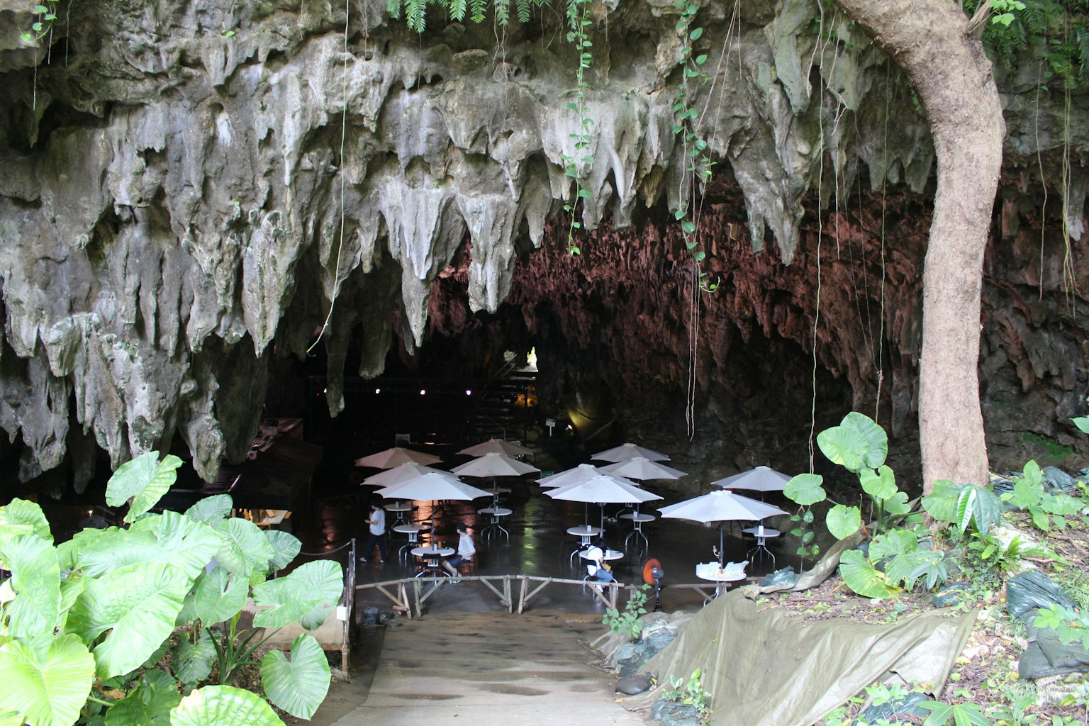 Eingang einer Höhle mit Essbereich und üppigem Grün