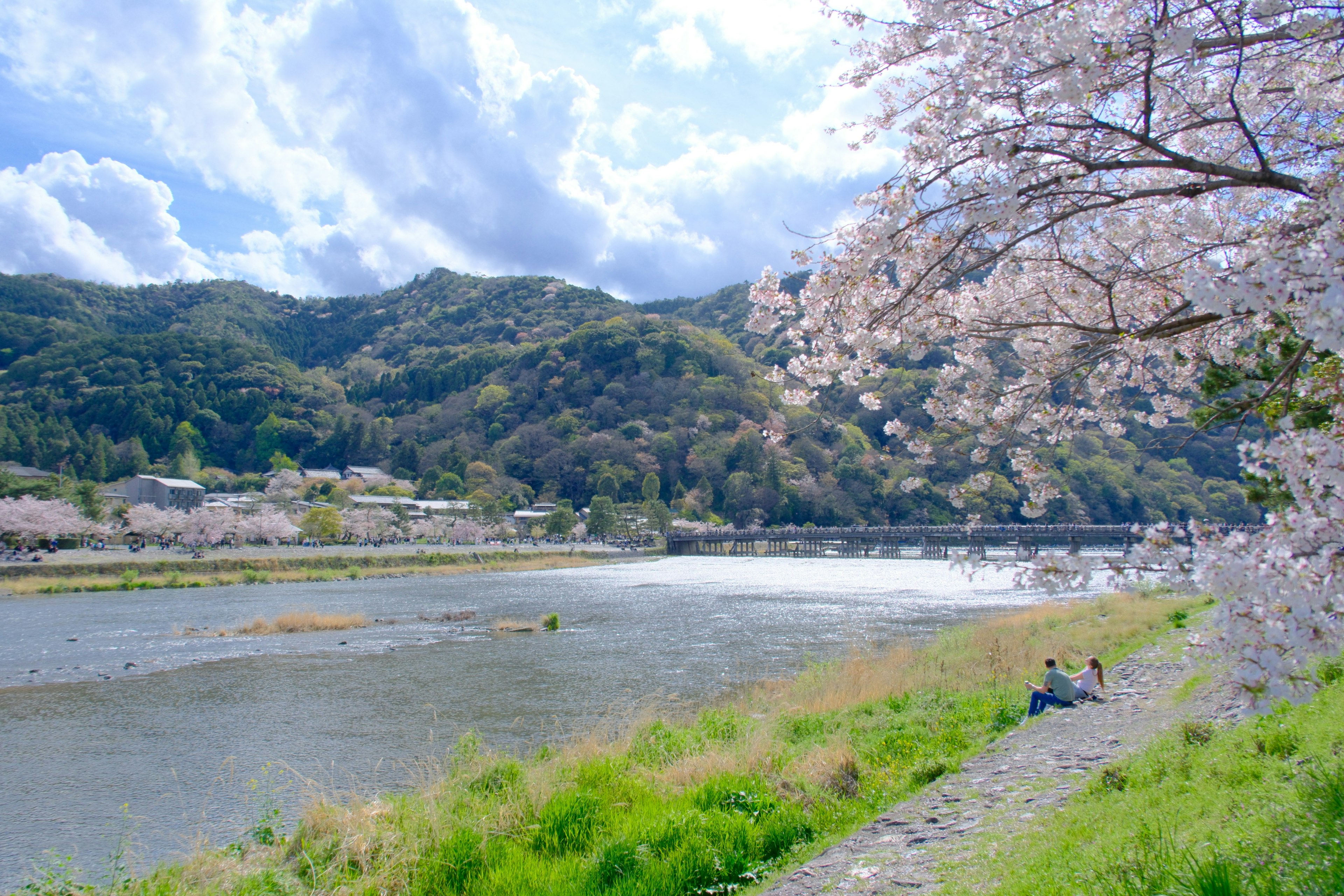 川沿いの遊歩道と桜の並木、山並みの風景